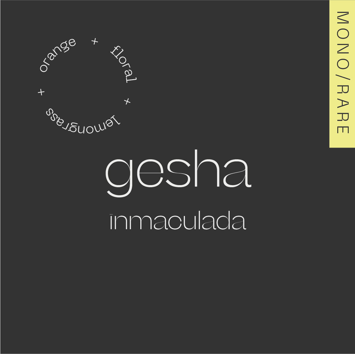 GESHA Colombia — Inmaculada from A Matter of Concrete