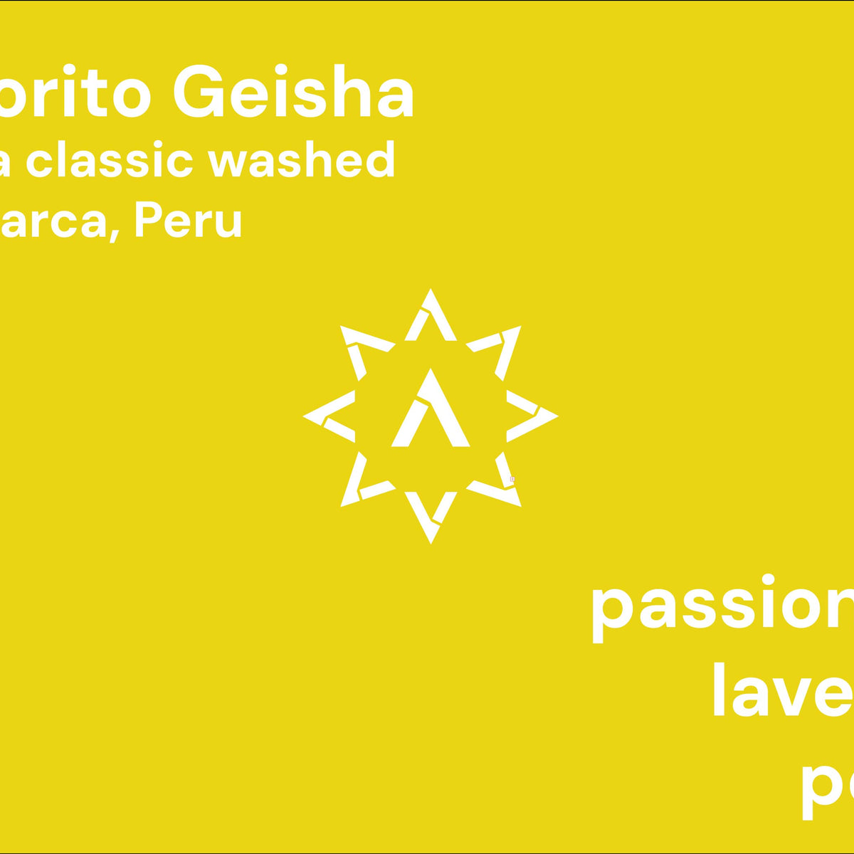 El Morito Geisha from Apollon's Gold