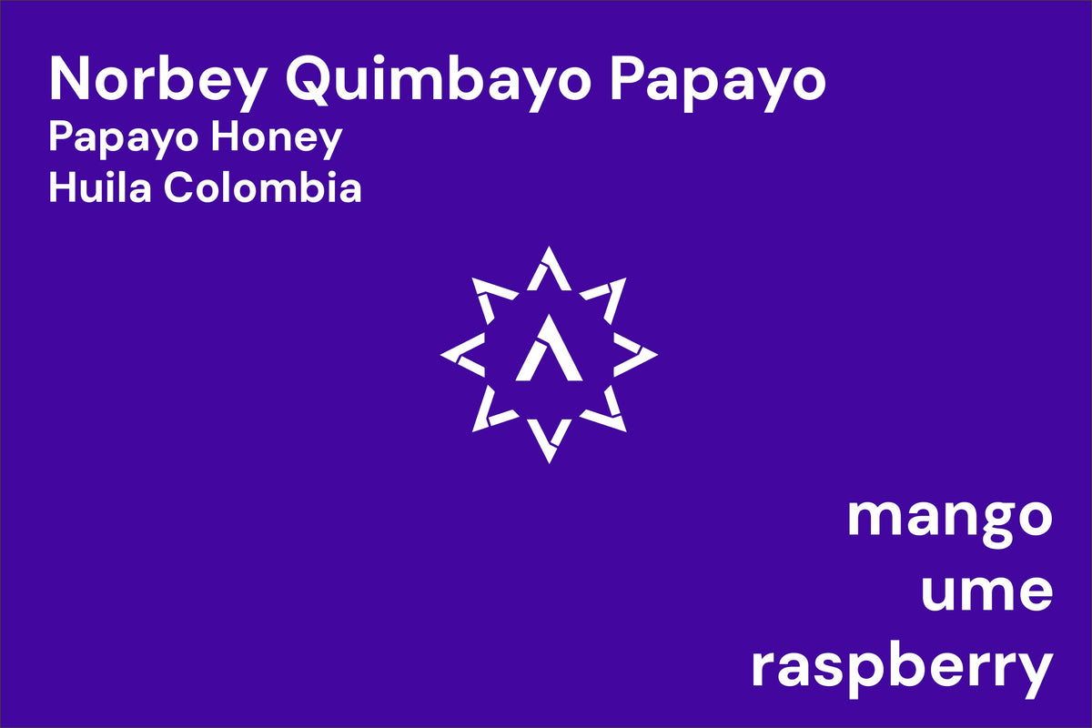 Norbey Quimbayo Papayo from Apollon's Gold