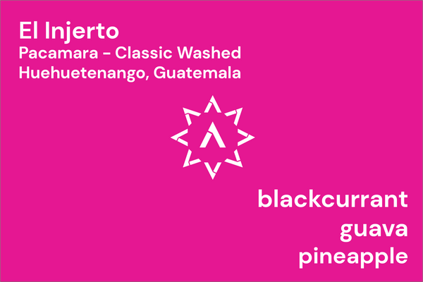 El Injerto from Apollon's Gold