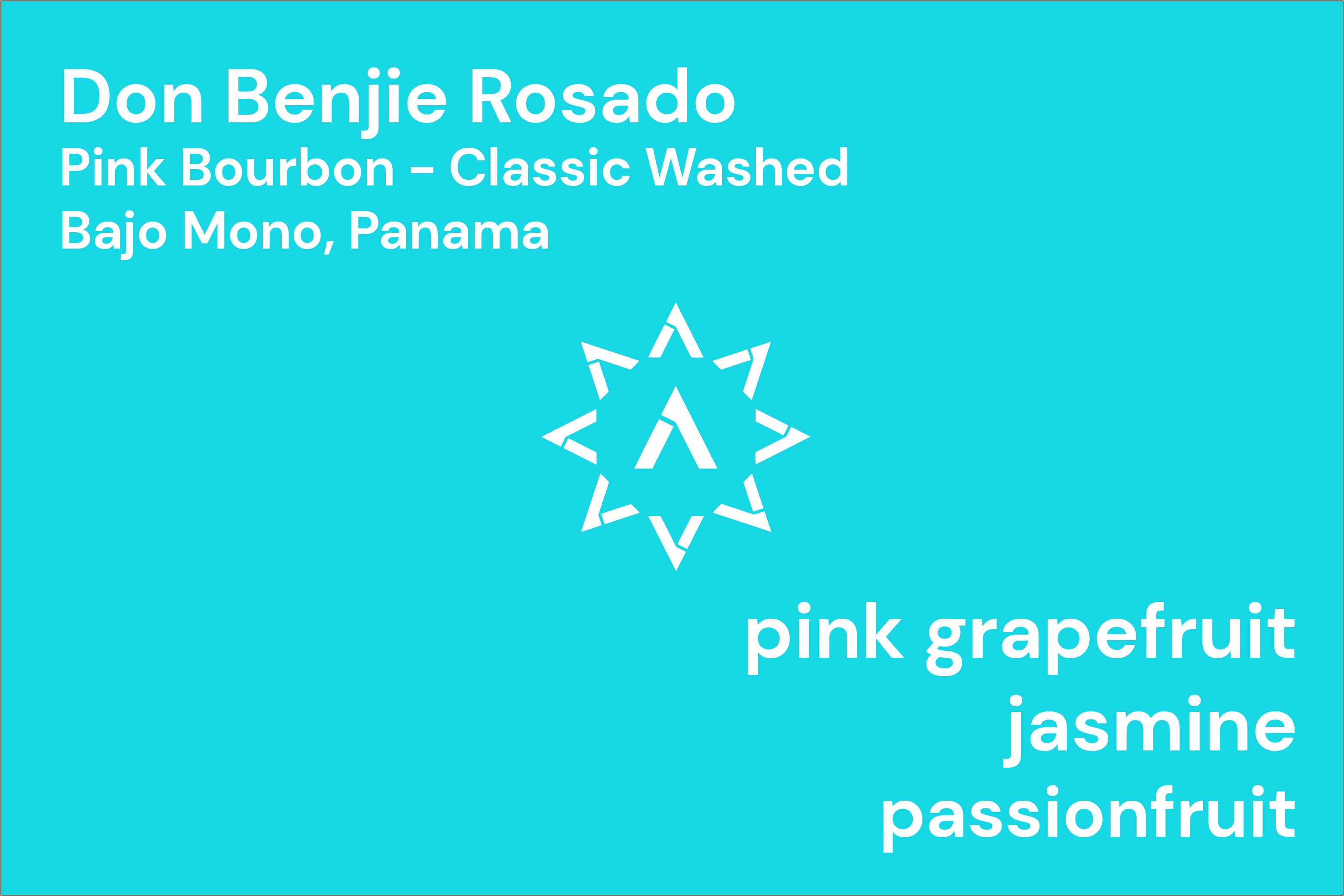 Don Benjie from Apollon's Gold