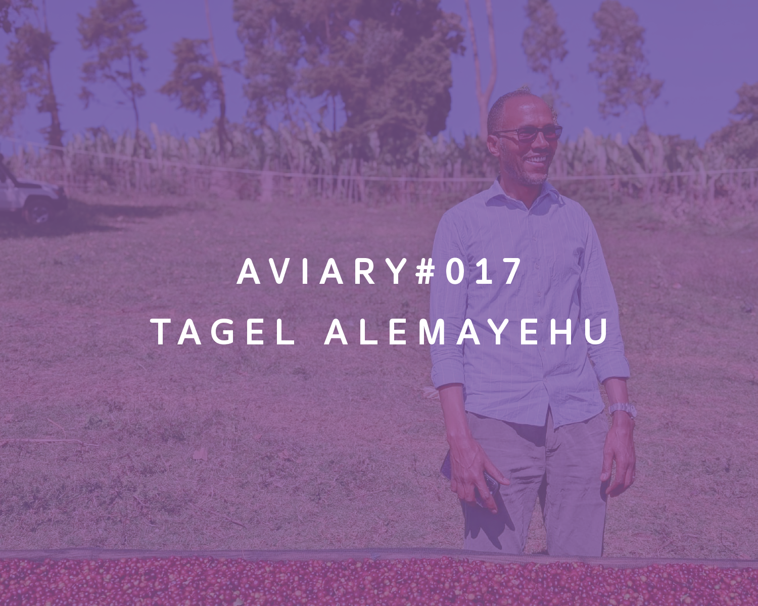 017 - Tagel Alemayehu from Aviary