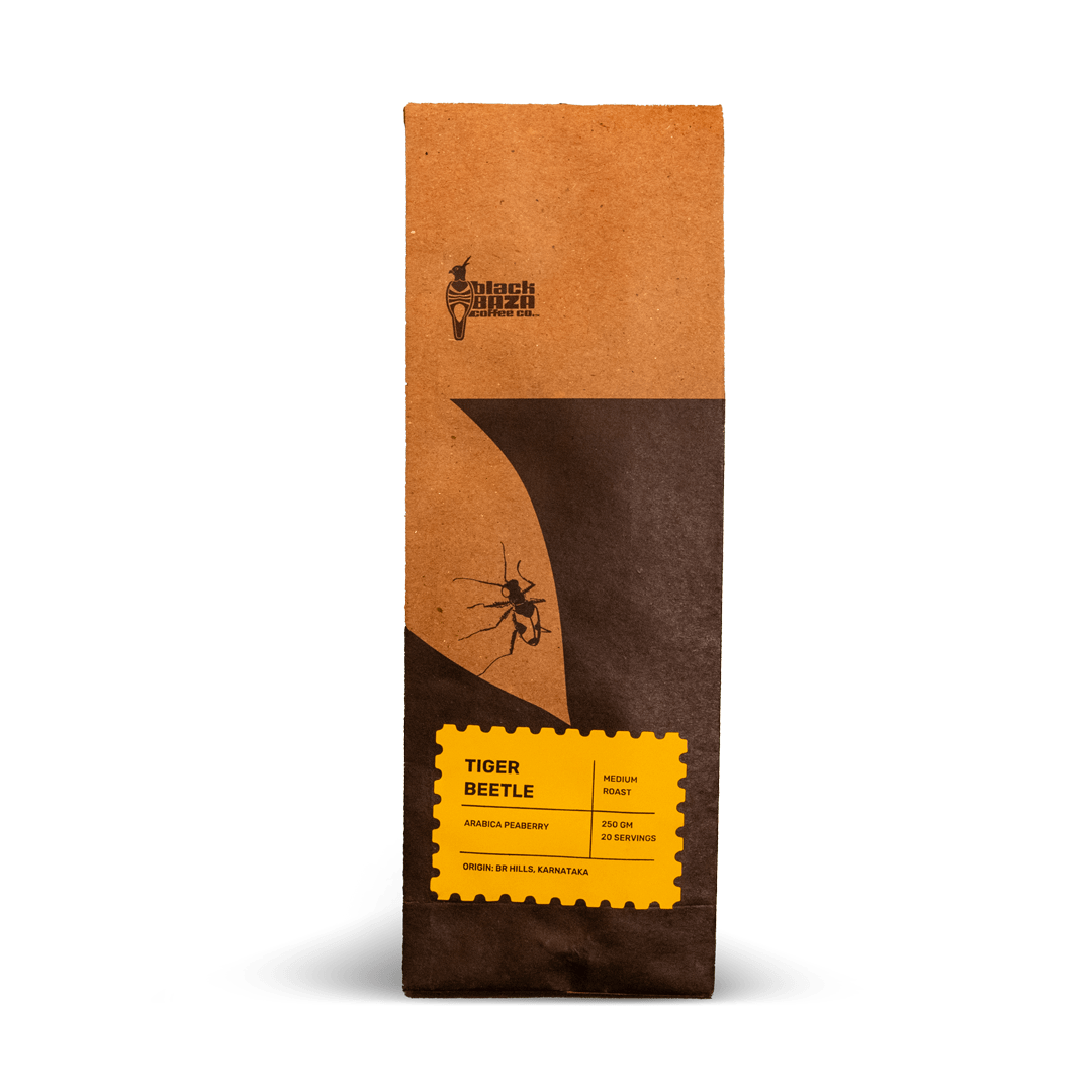 Tiger Beetle from Black Baza Coffee