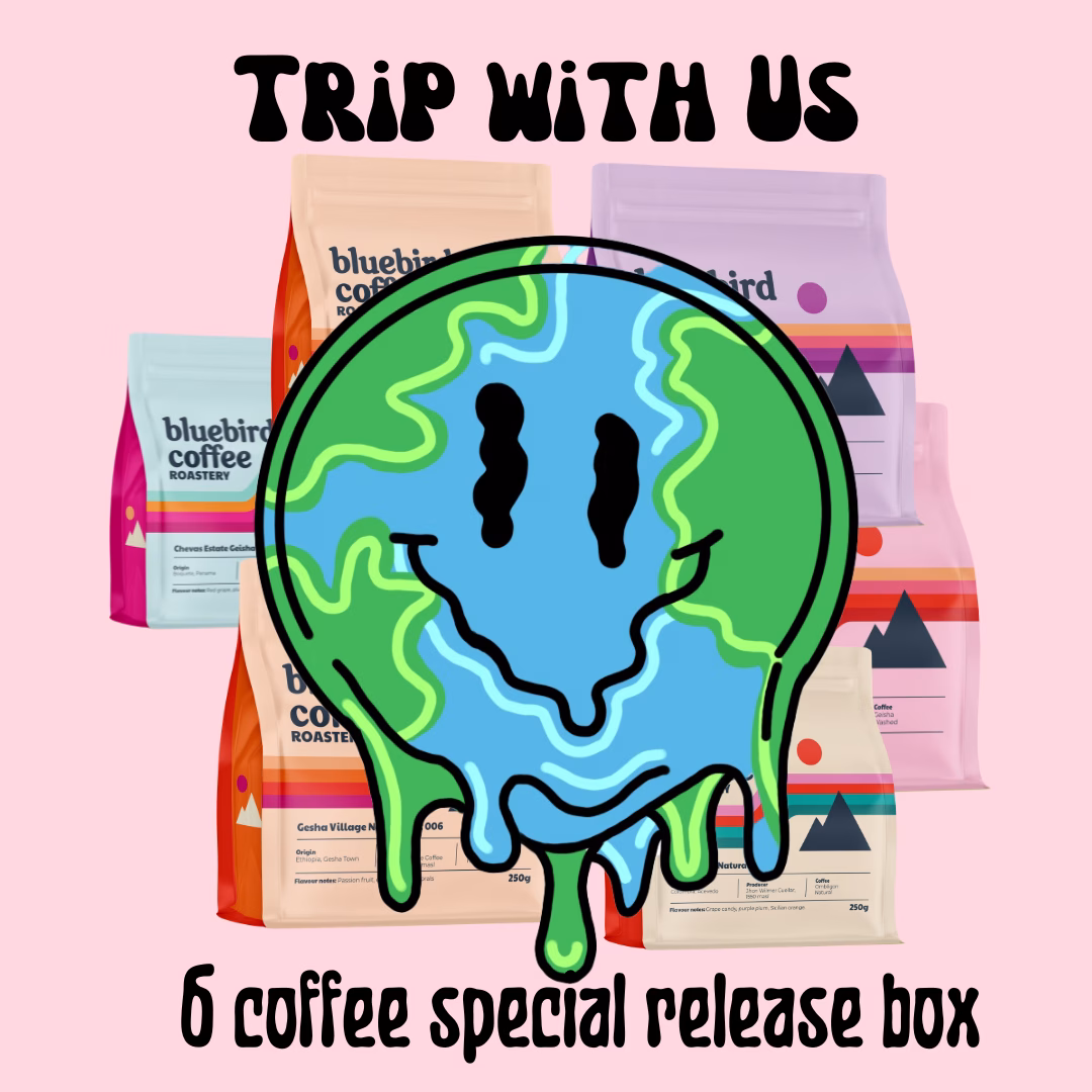 Trip With Us from Bluebird Coffee Roastery