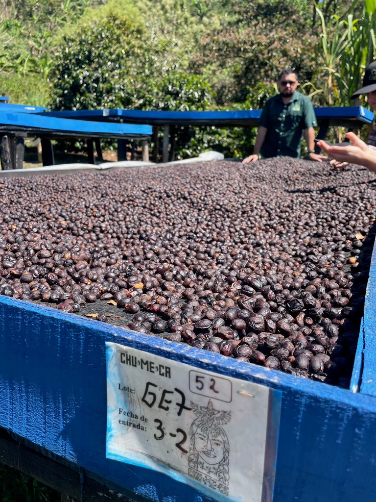 Martin Ureña, La Chumeca Geisha from Crankhouse Coffee