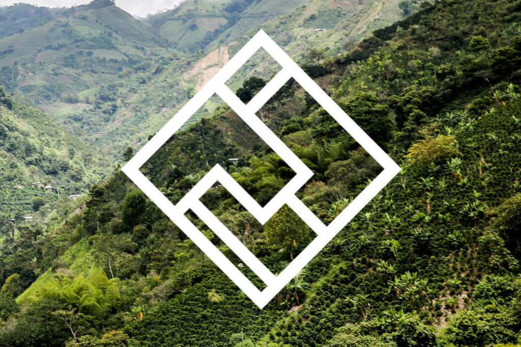 El Carmen DECAF from Crankhouse Coffee