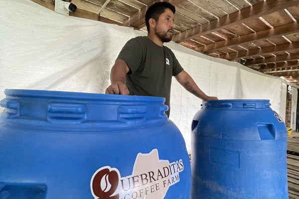 Edinson Argote, Finca Quebraditas Pink Bourbon from Crankhouse Coffee