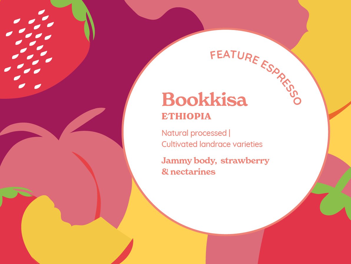 Bookkisa (Natural) from Curve Coffee Roasters