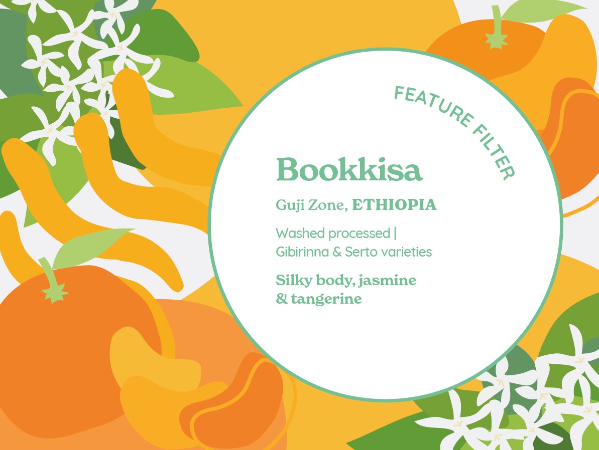 Bookkisa (Washed) from Curve Coffee Roasters