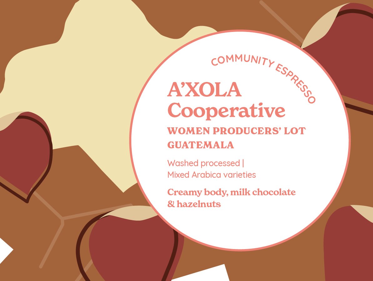 COMMUNITY ESPRESSO | AXOLA Coop | Guatemala from Curve Coffee Roasters