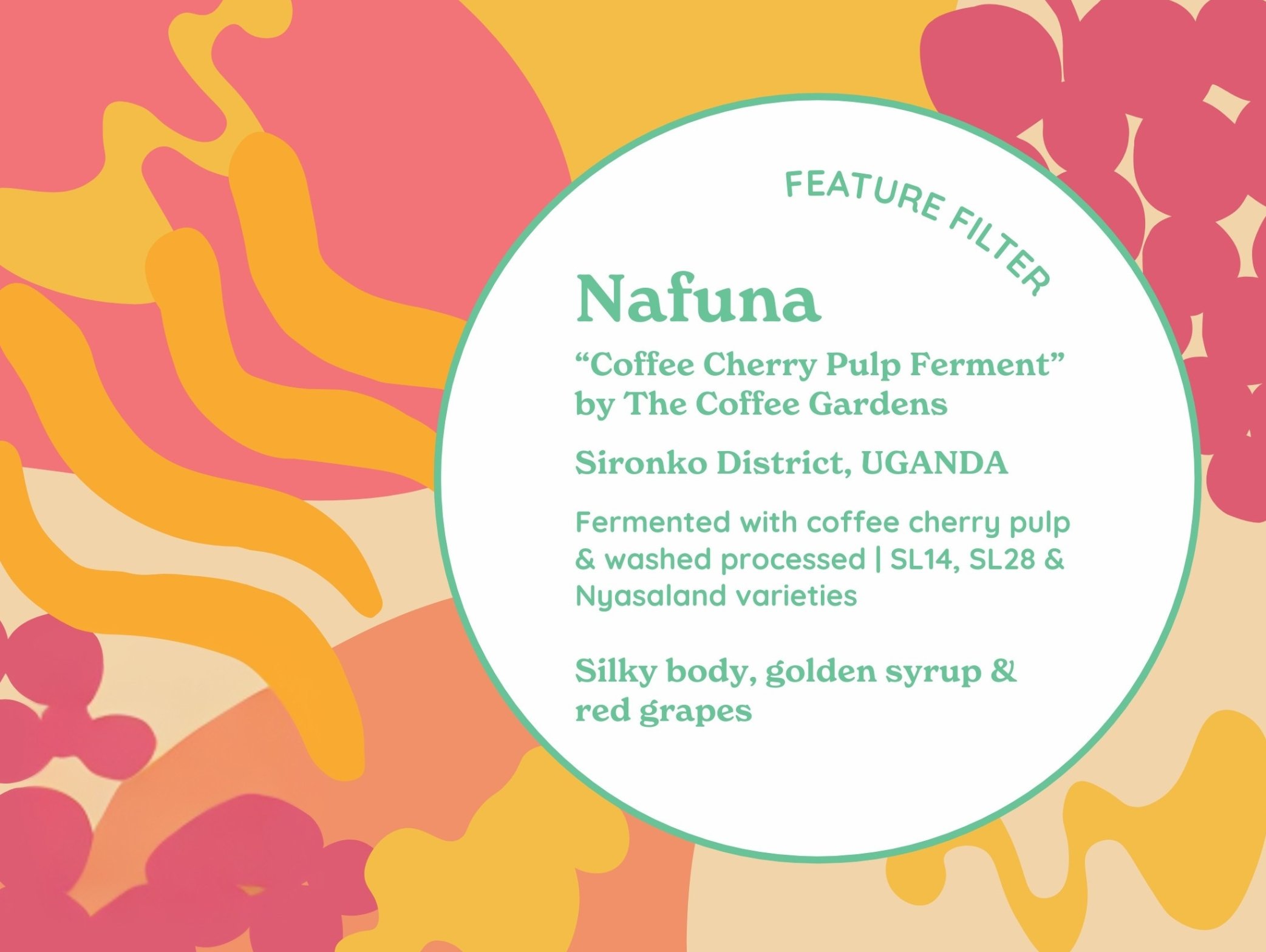 NAFUNA (Coffee Cherry Pulp Ferment) from Curve Coffee Roasters