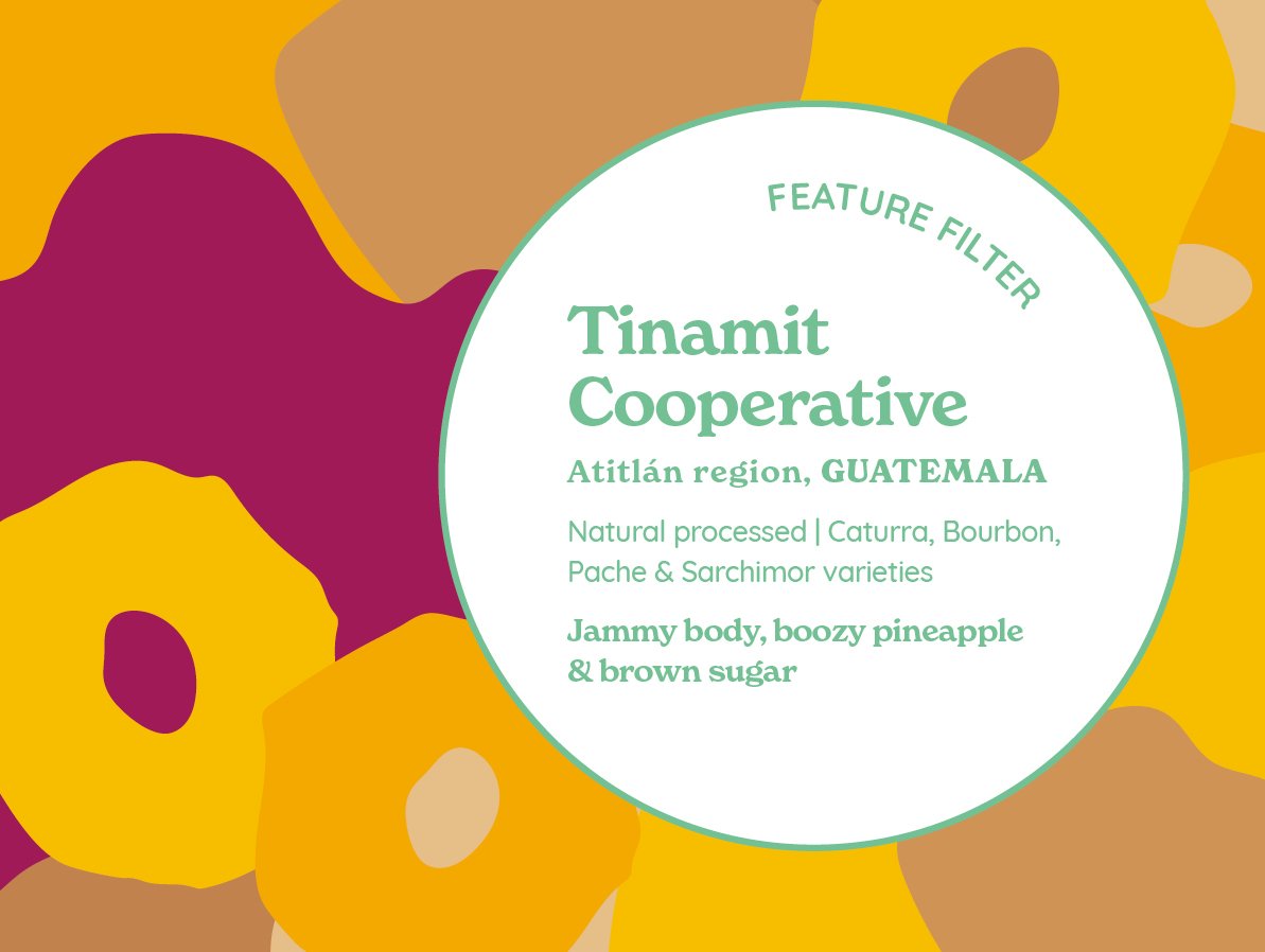 TINAMIT Cooperative (Natural) from Curve Coffee Roasters
