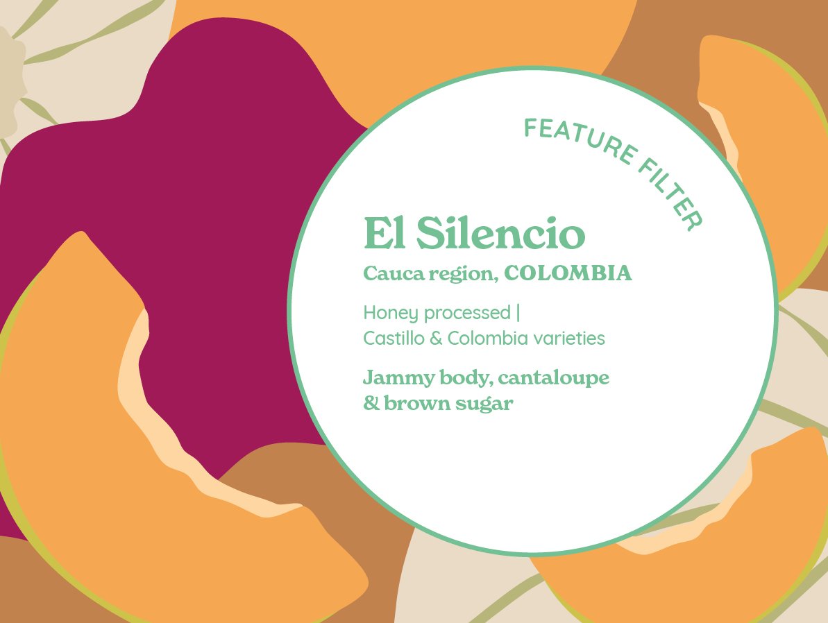 El Silencio from Curve Coffee Roasters