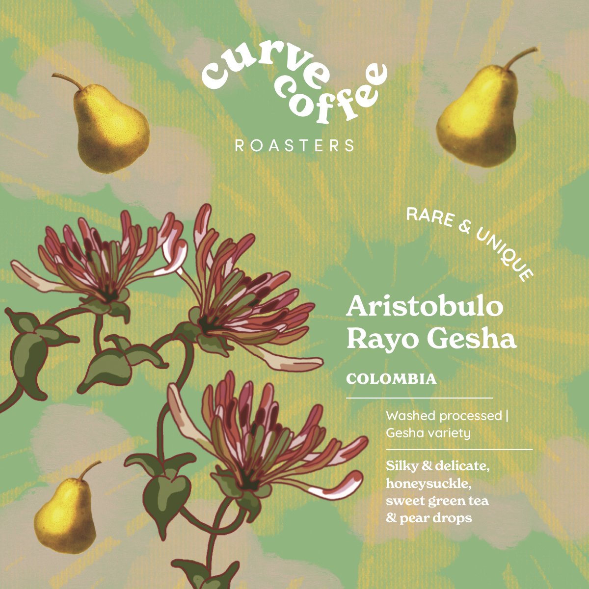 Aristobulo Rayo Gesha from Curve Coffee Roasters