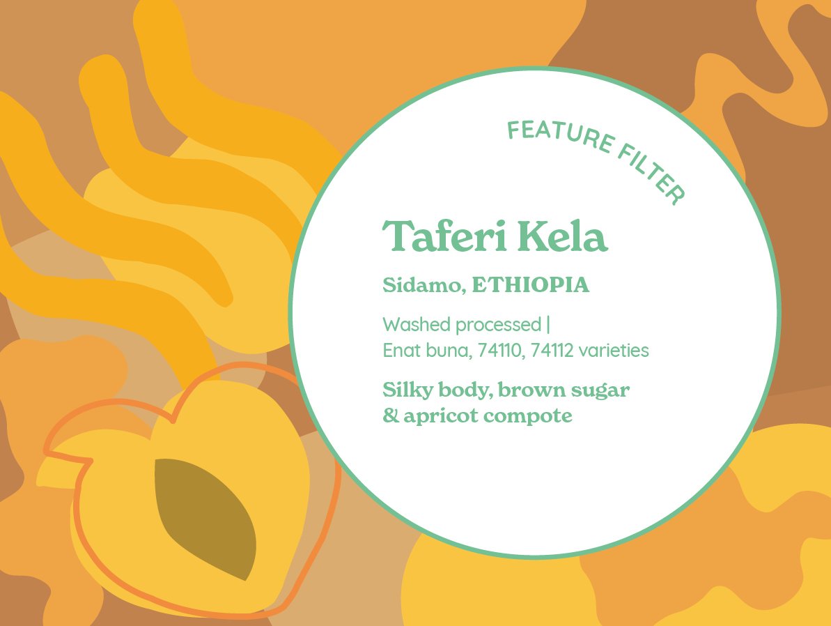 Taferi Kela from Curve Coffee Roasters