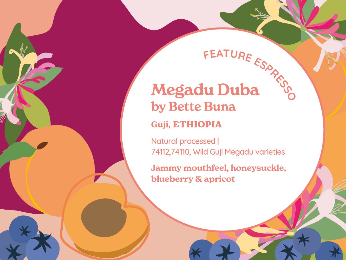 Megadu Duba by Bette Buna (Natural) | Ethiopia from Curve Coffee Roasters