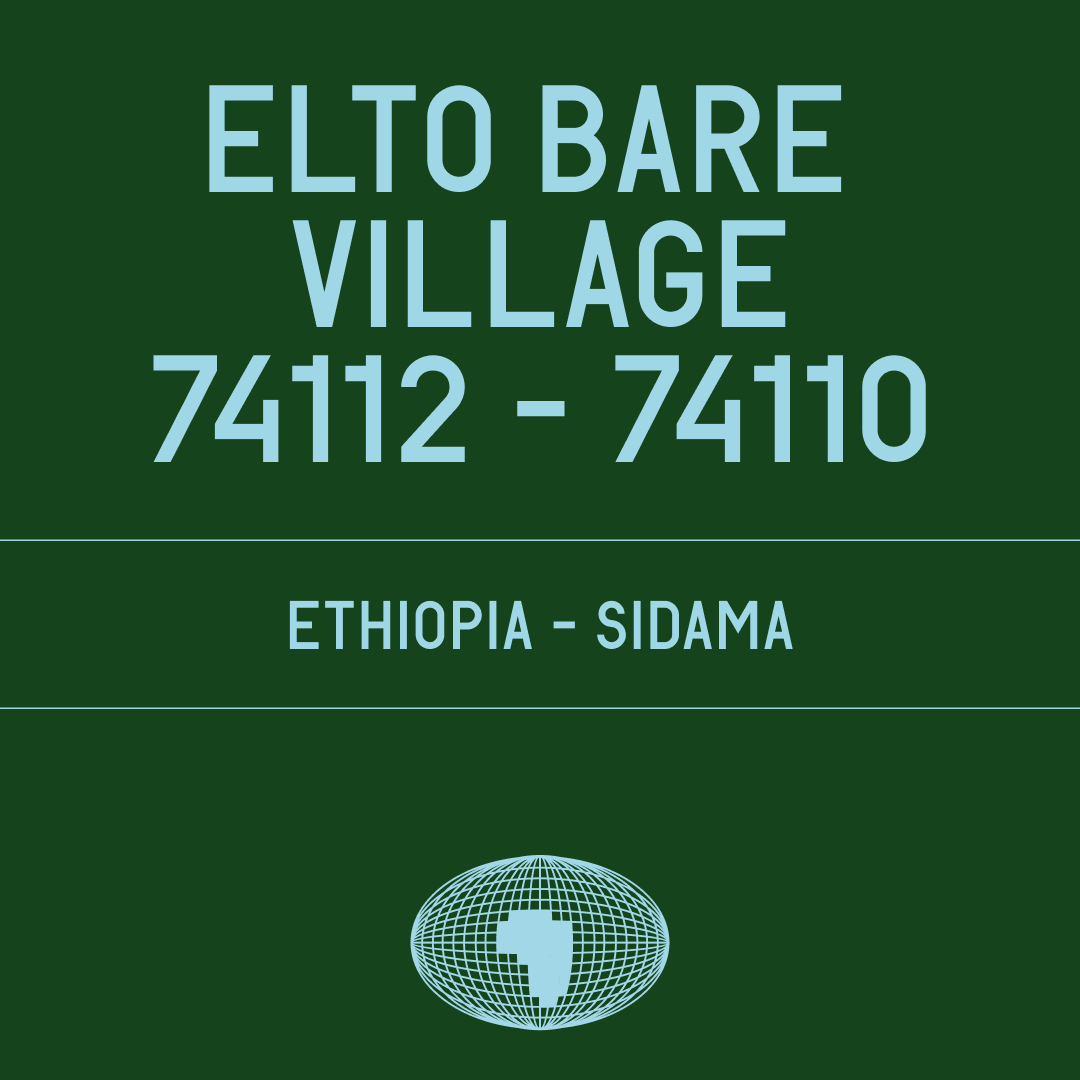 Elto Bare Village 74112 – 74110 from Datura Coffee