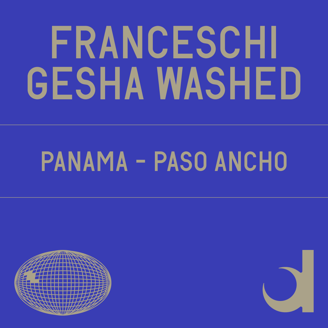 Franceschi Gesha Washed from Datura Coffee