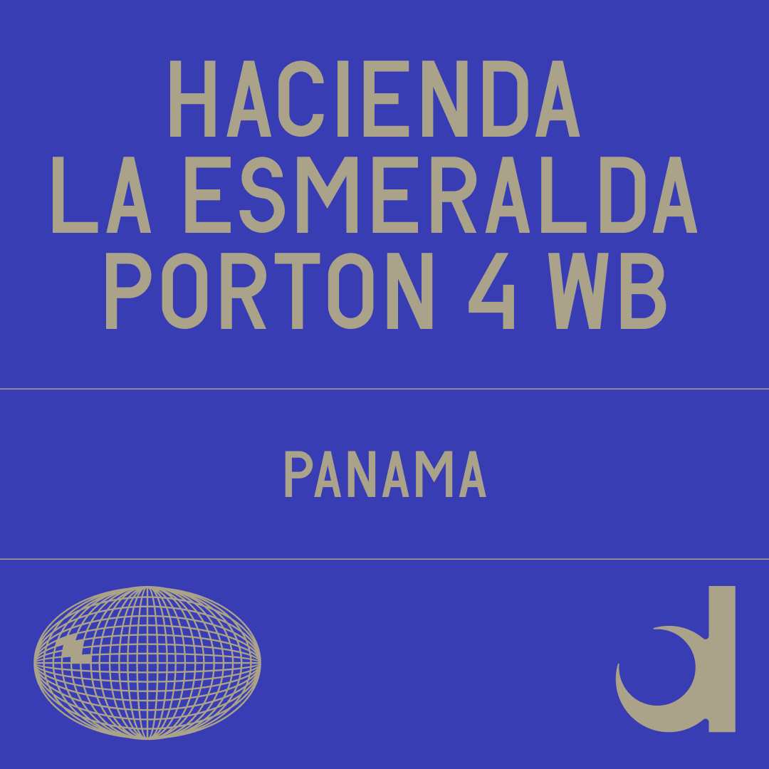 Hacienda La Esmeralda Porton 4 Wb Washed from Datura Coffee