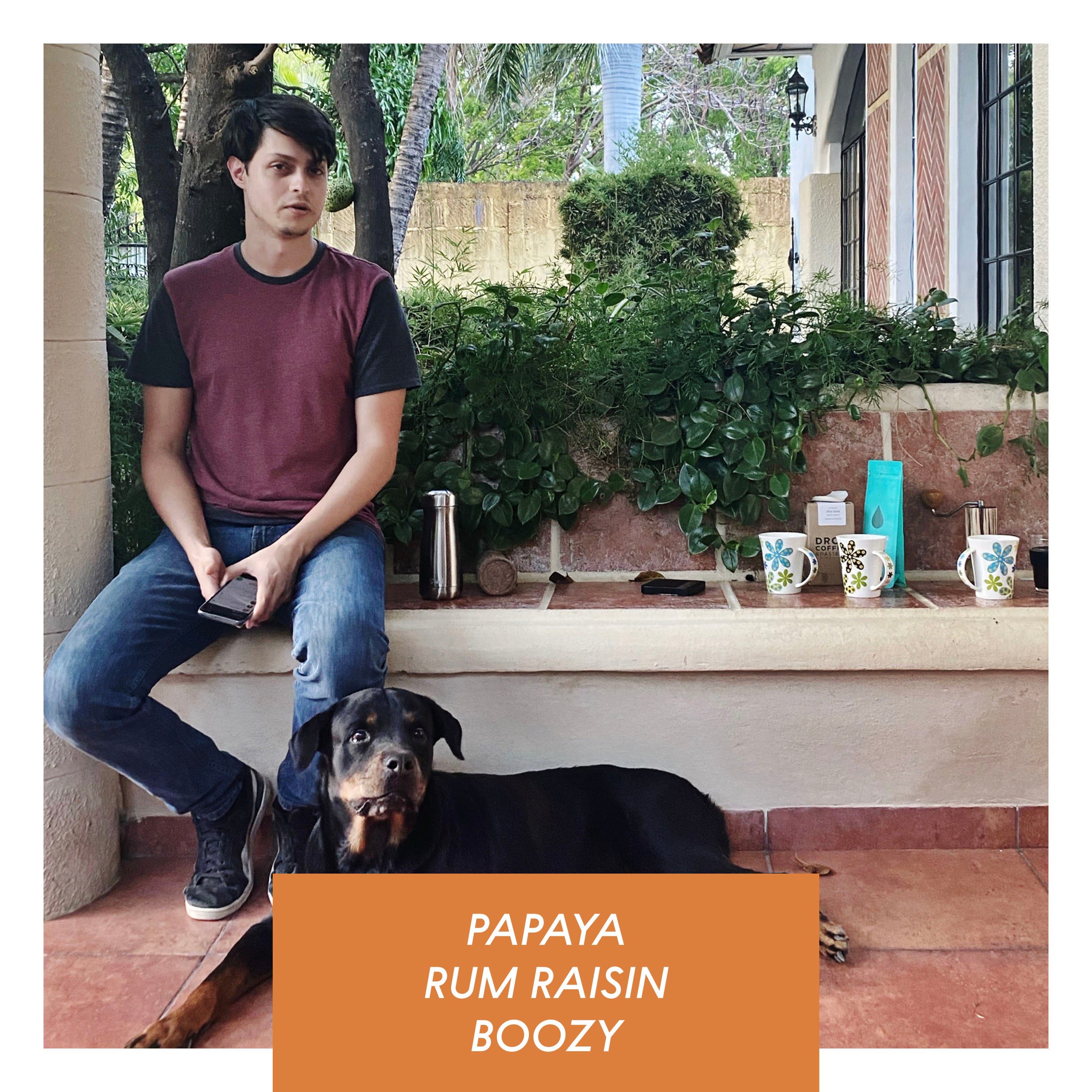 Las Delicias, Natural Java, Nicaragua from Drop Coffee Roasters