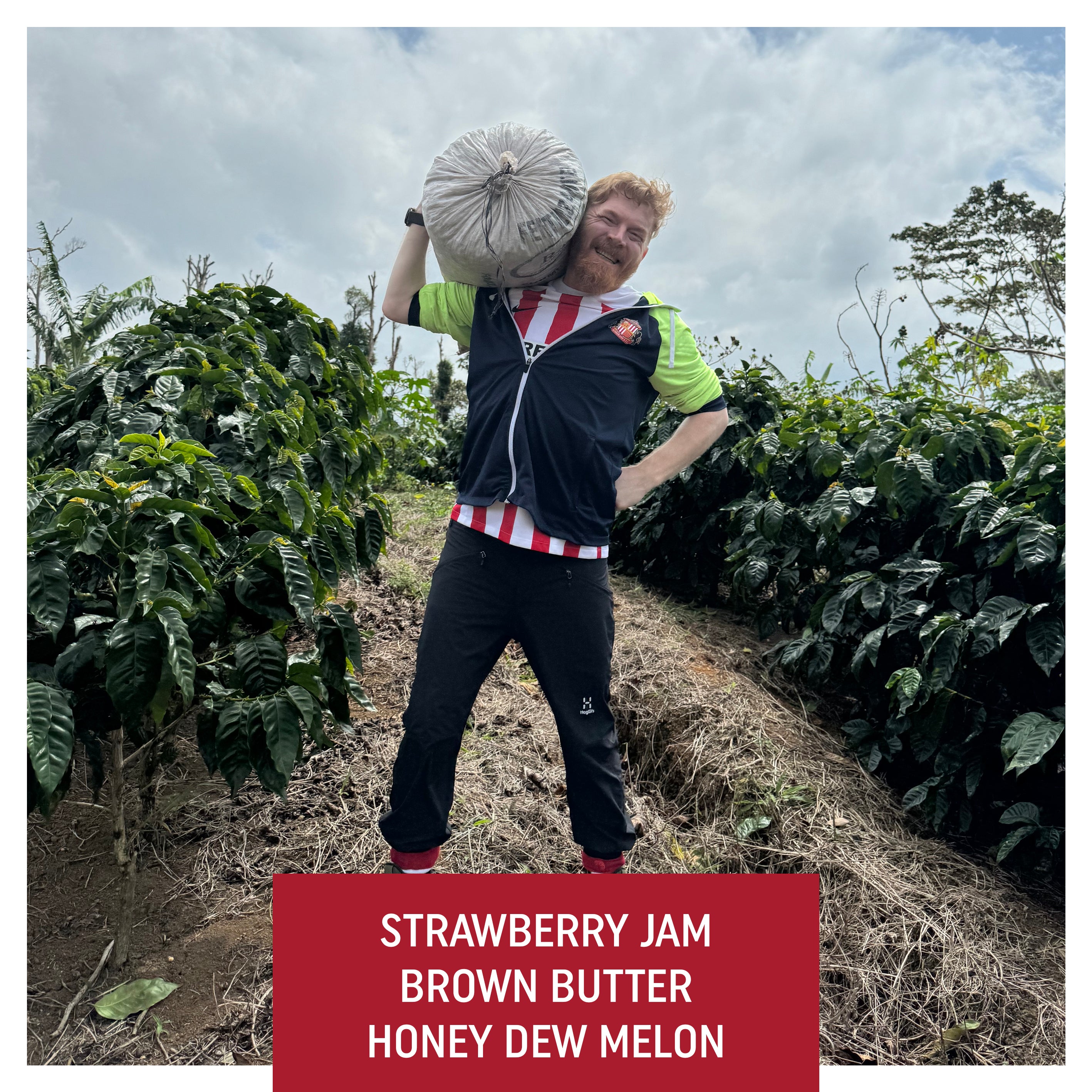 Finca Sunderland Natural H1, Nicaragua from Drop Coffee Roasters