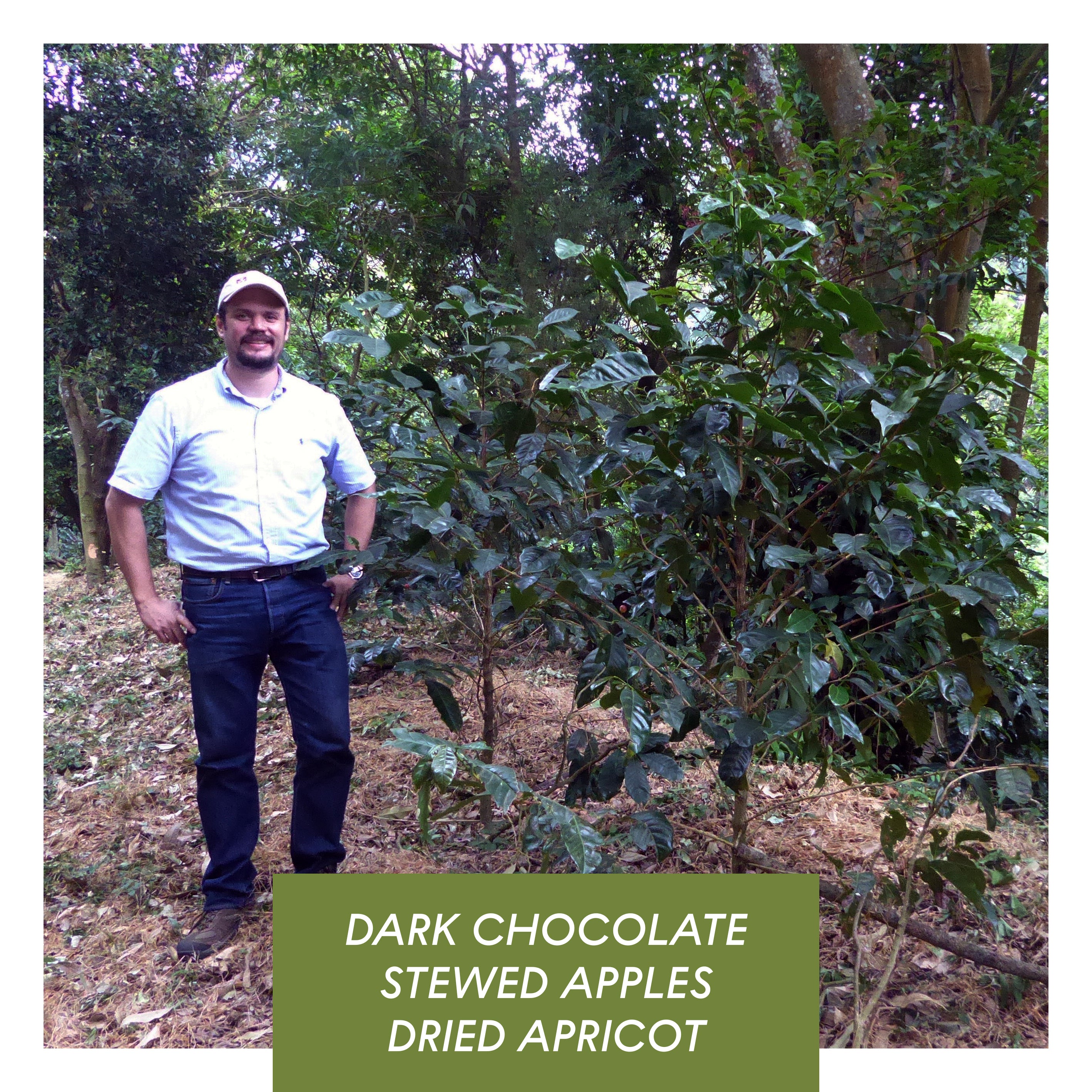 Los Andes, Anaerobic Natural Bourbon, El Salvador from Drop Coffee Roasters