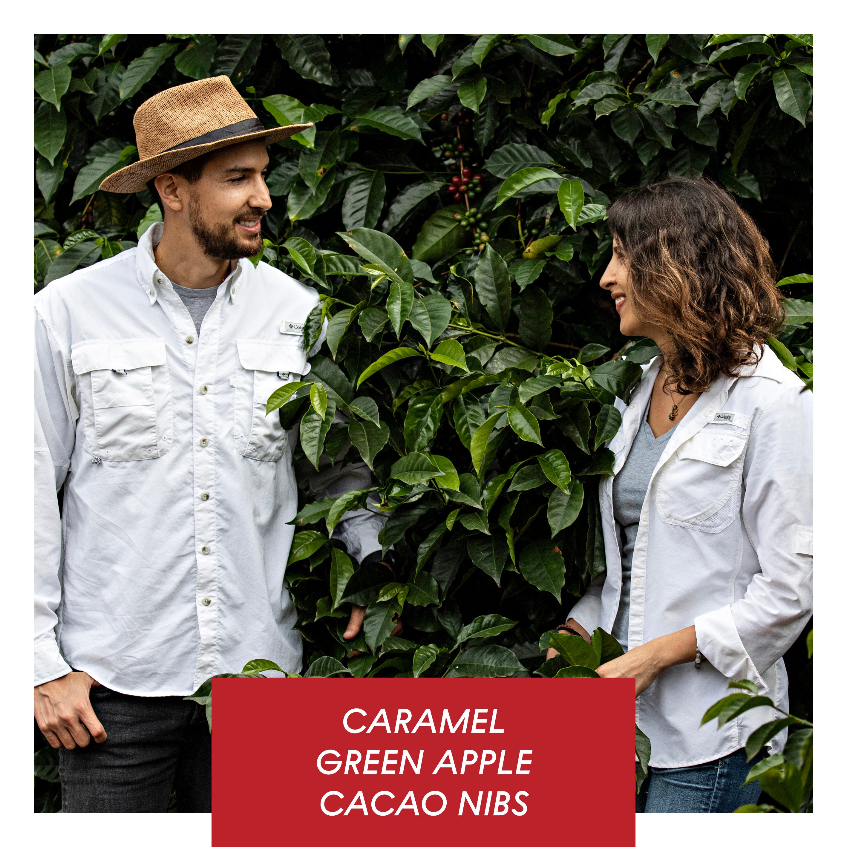 Alasitas, Washed Caturra, Bolivia from Drop Coffee Roasters