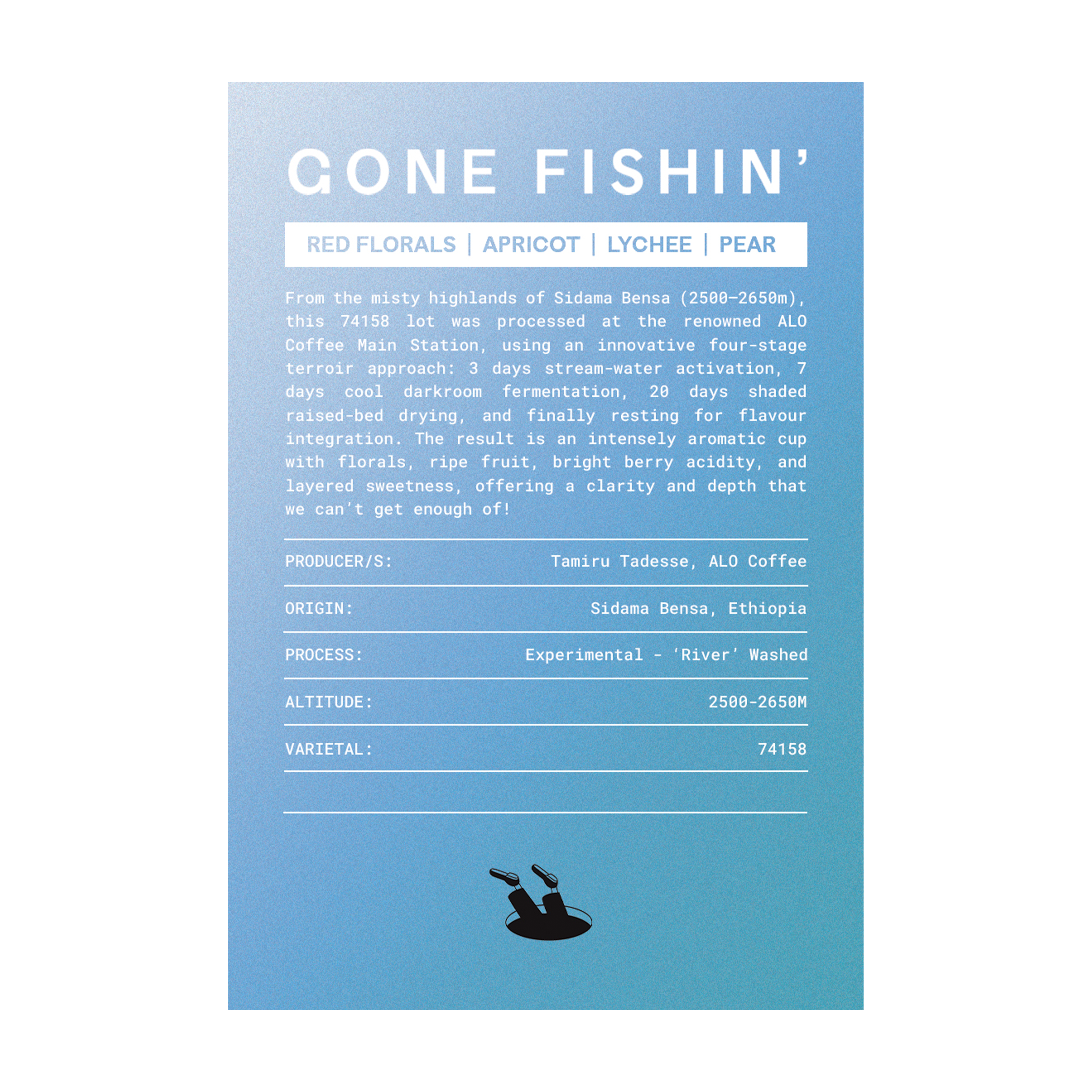 Gone Fishin' - Killbean x ELSEWHERE from Elsewhere Coffee