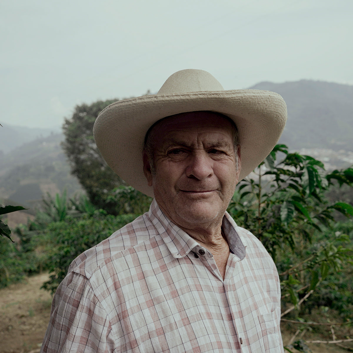 Las Águilas Natural – Pink Bourbon, Plum & Citrus from Glass Coffee