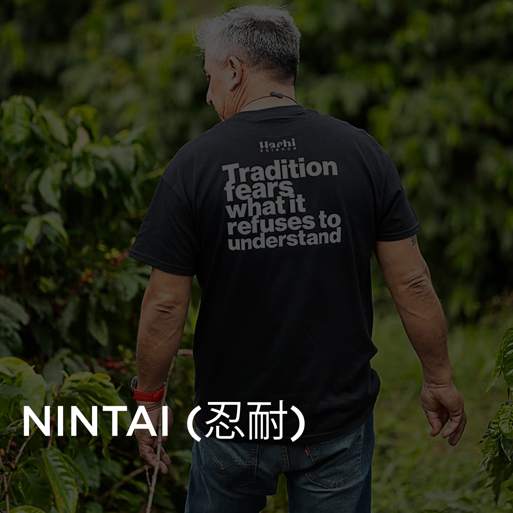 NINTAI (忍耐) GESHA from Glass Coffee