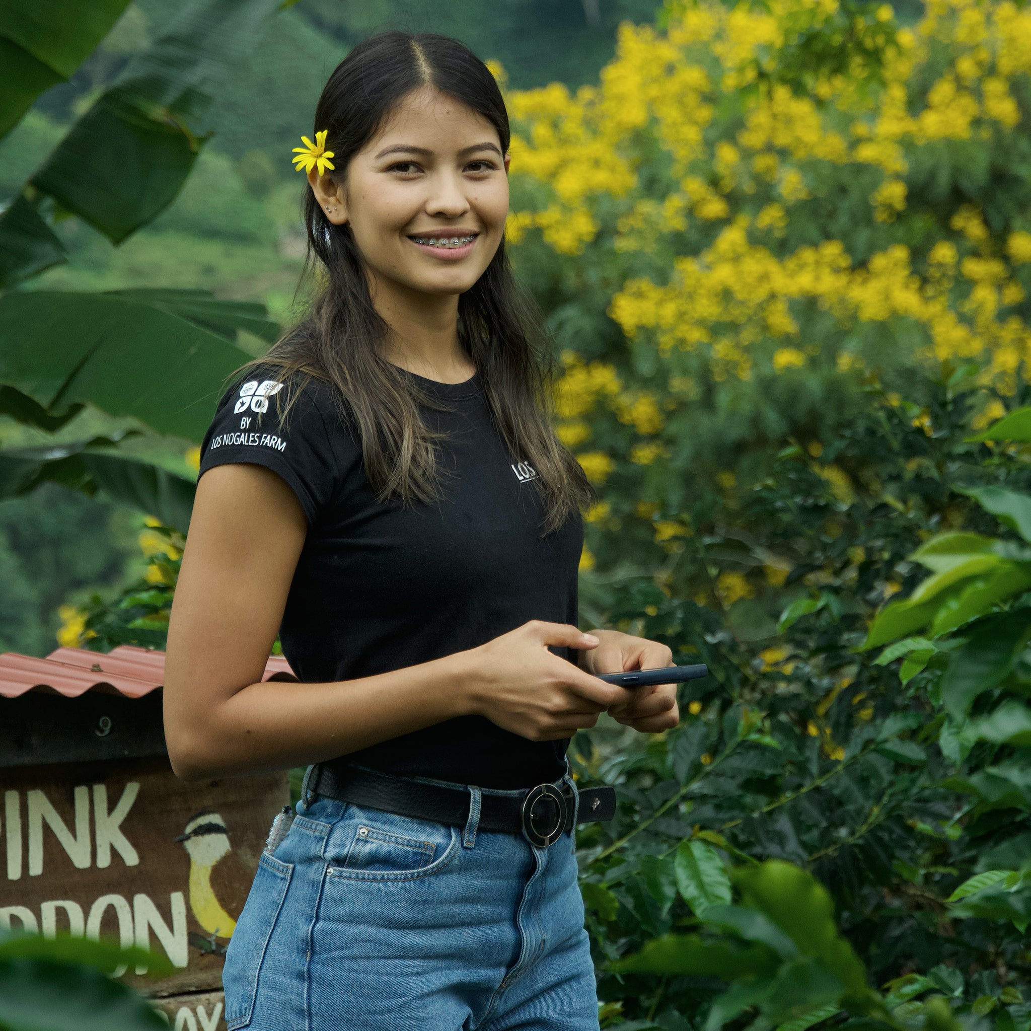 Lime Cheesecake Washed Cenicafe Inspiration from Glass Coffee