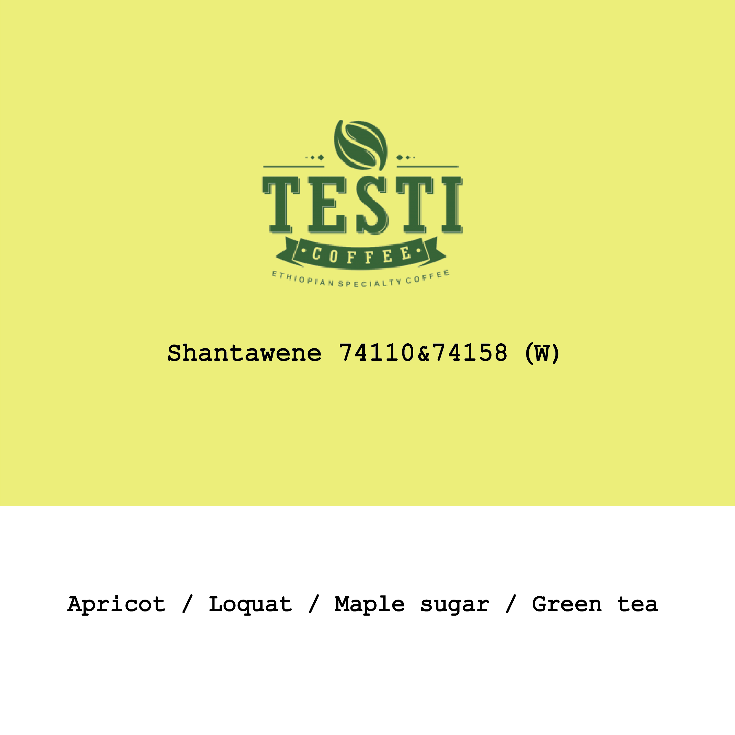 Ethiopia Testi Ayla Shantawene 74110 & 74158 Washed from Goût and Co