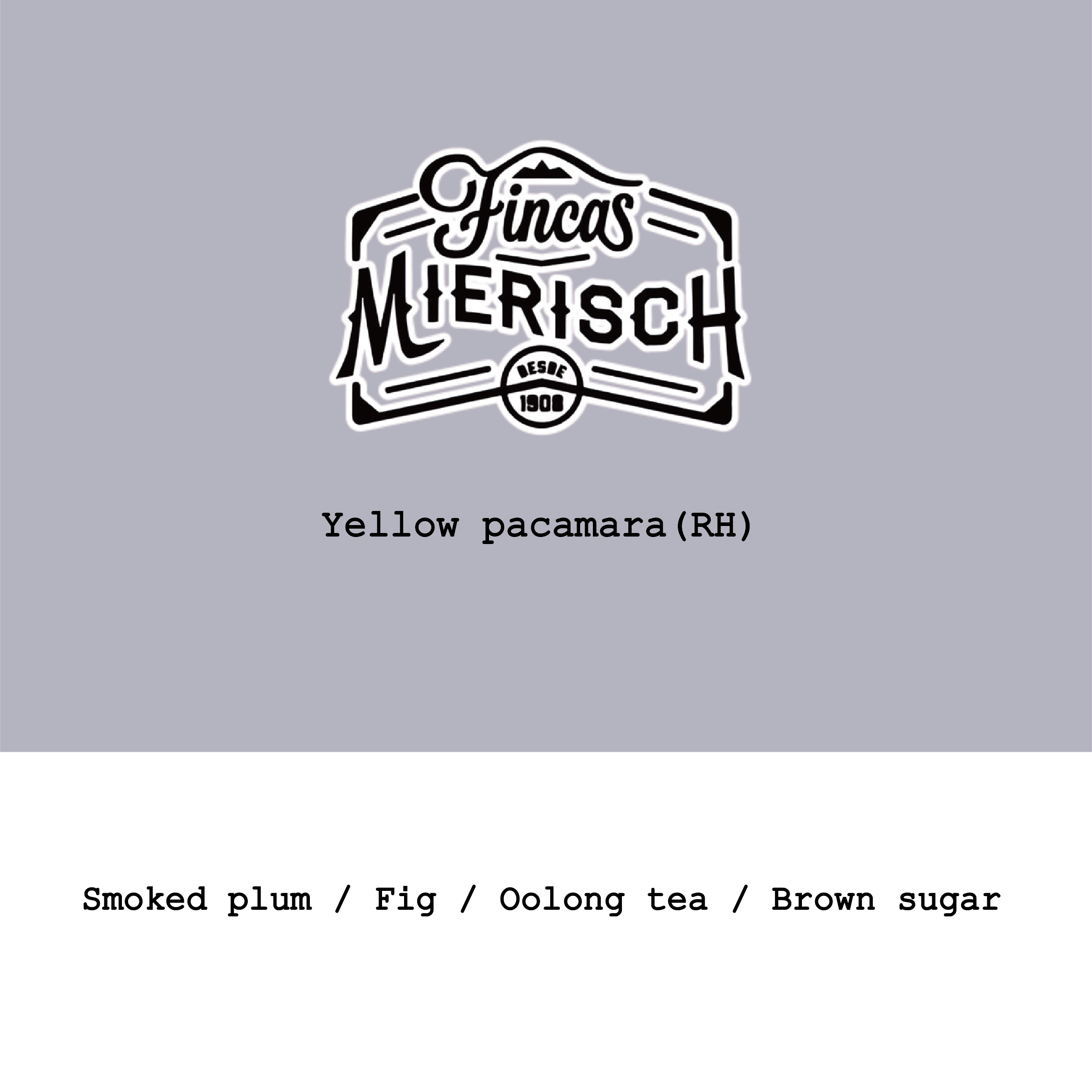 Nicaragua Finca Mierisch-El Limoncillo Yellow Pacamara Red Honey from Goût and Co