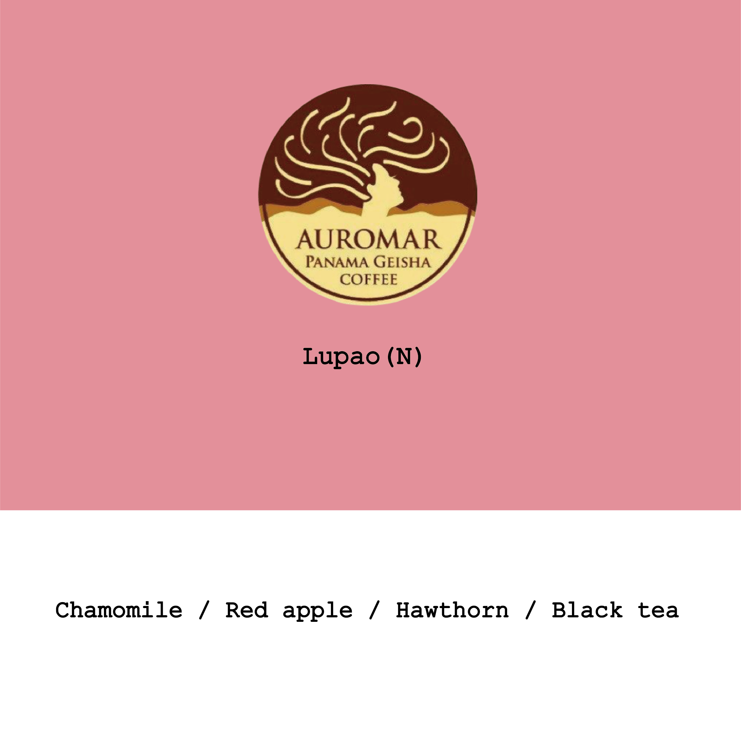 Panama Finca Auromar Lupao Natural from Goût and Co