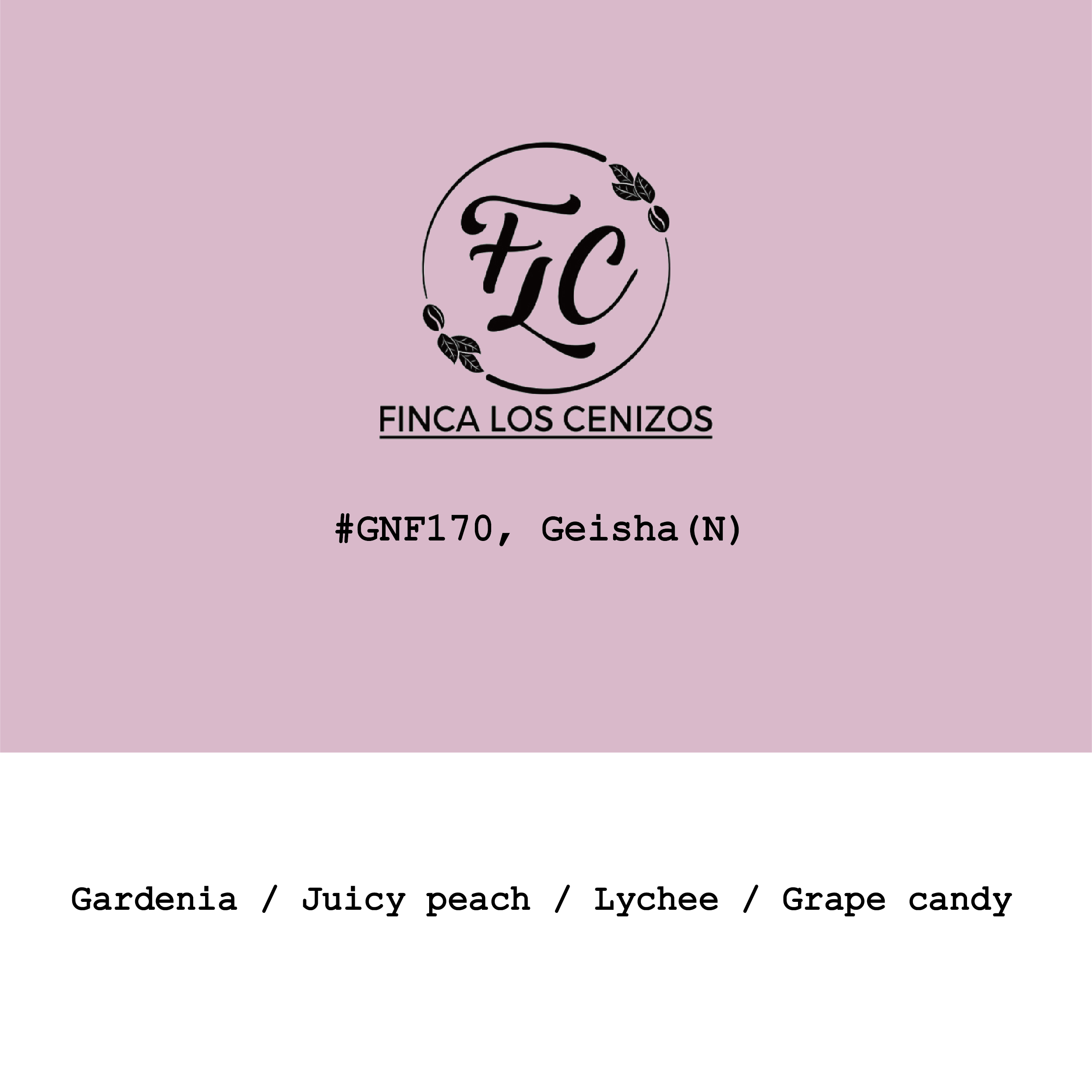 Panama Los Cenizos Geisha Cold-fermented natural from Goût and Co