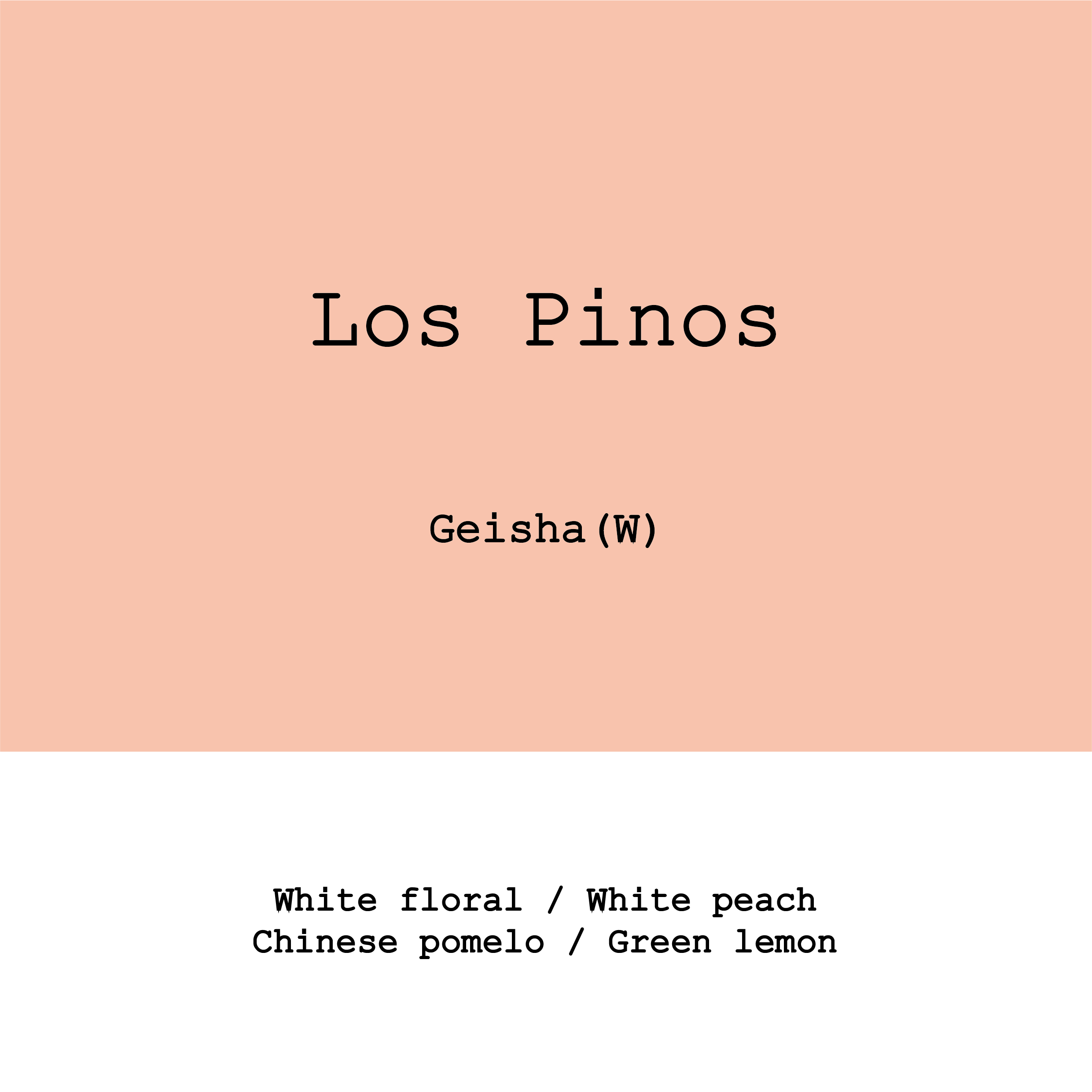 Honduras Los Pinos Geisha Washed from Goût and Co