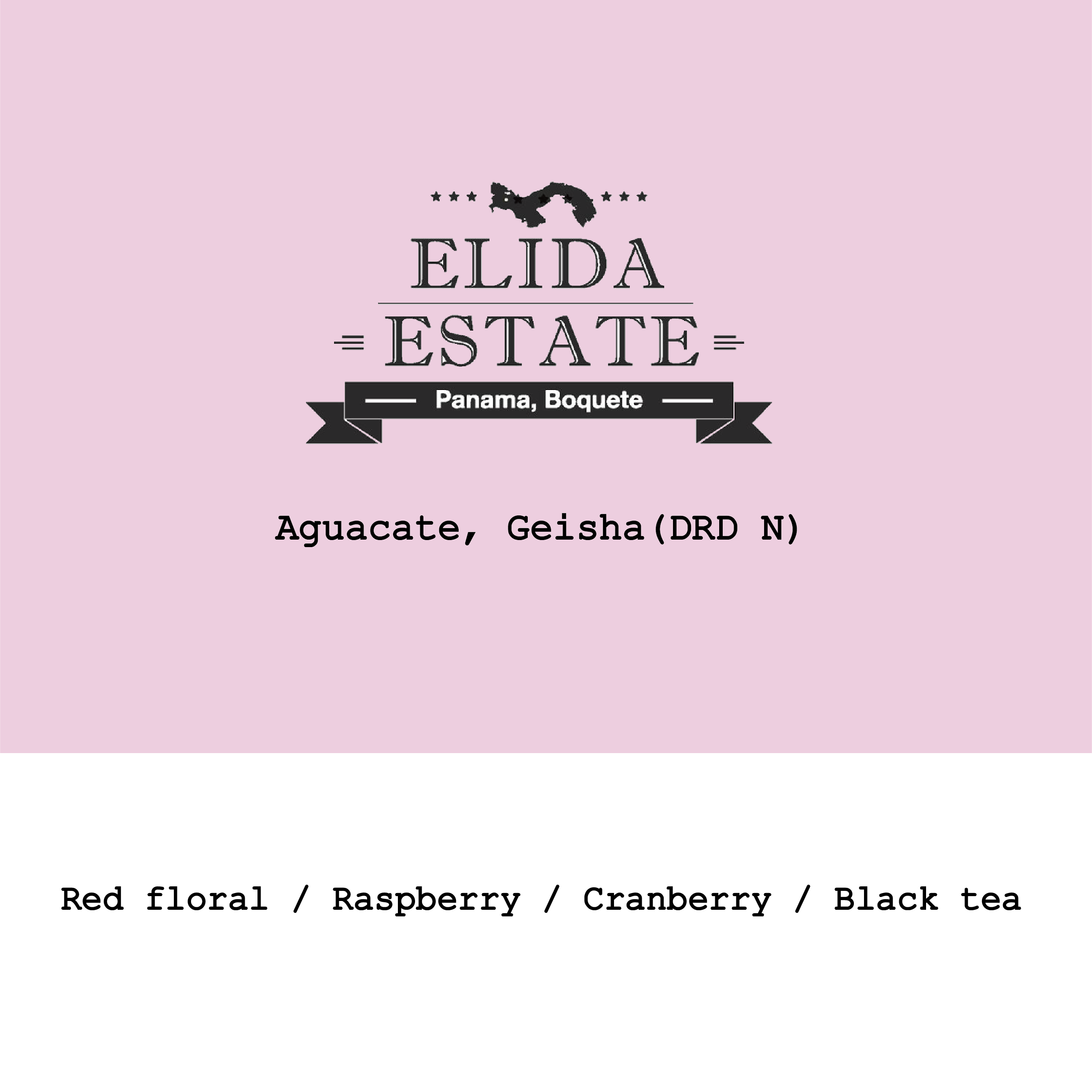 Lamastus Elida Estate Aguacate Green Tip Geisha DRD Natural #03 from Goût and Co