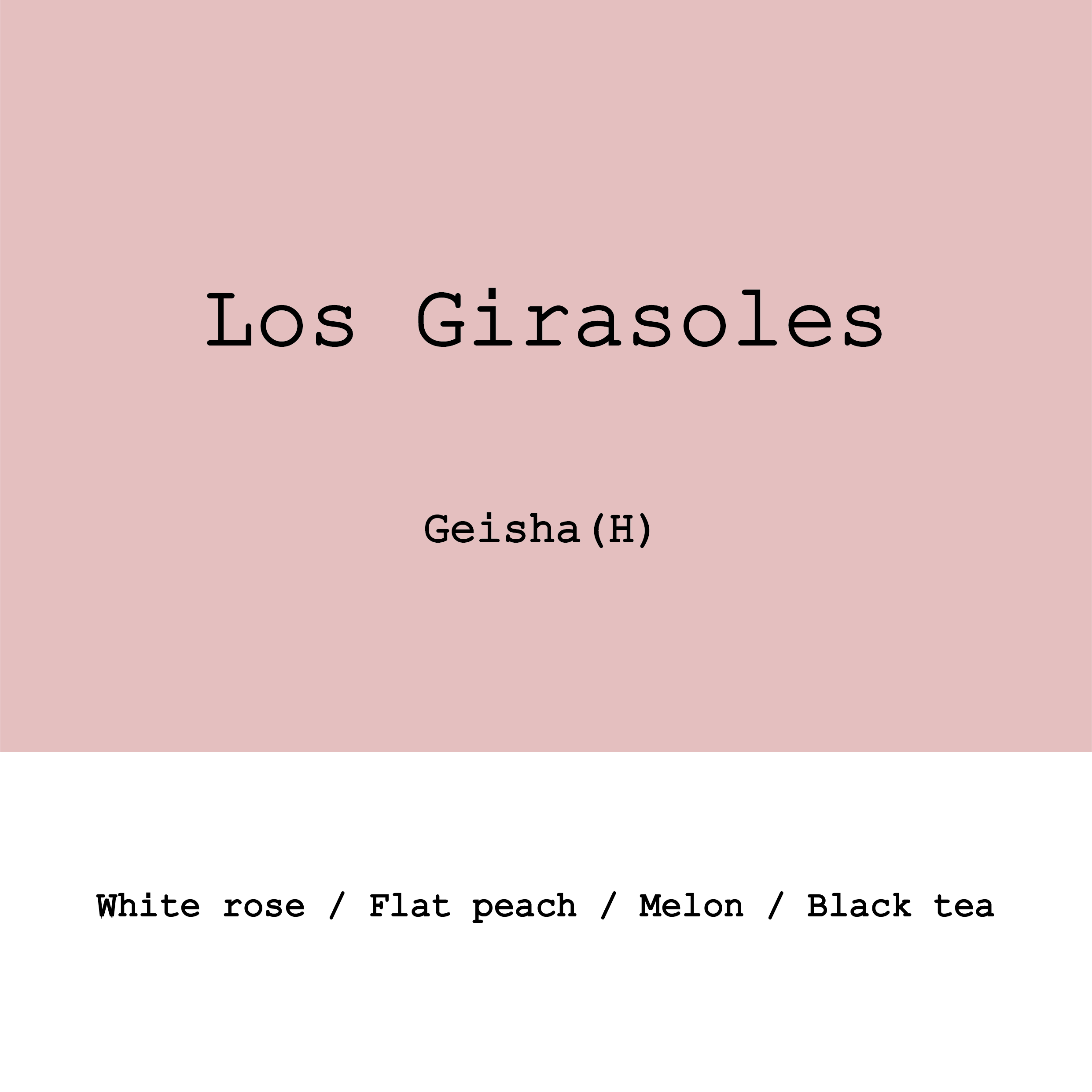 Colombia Los Girasoles Geisha Honey from Goût and Co