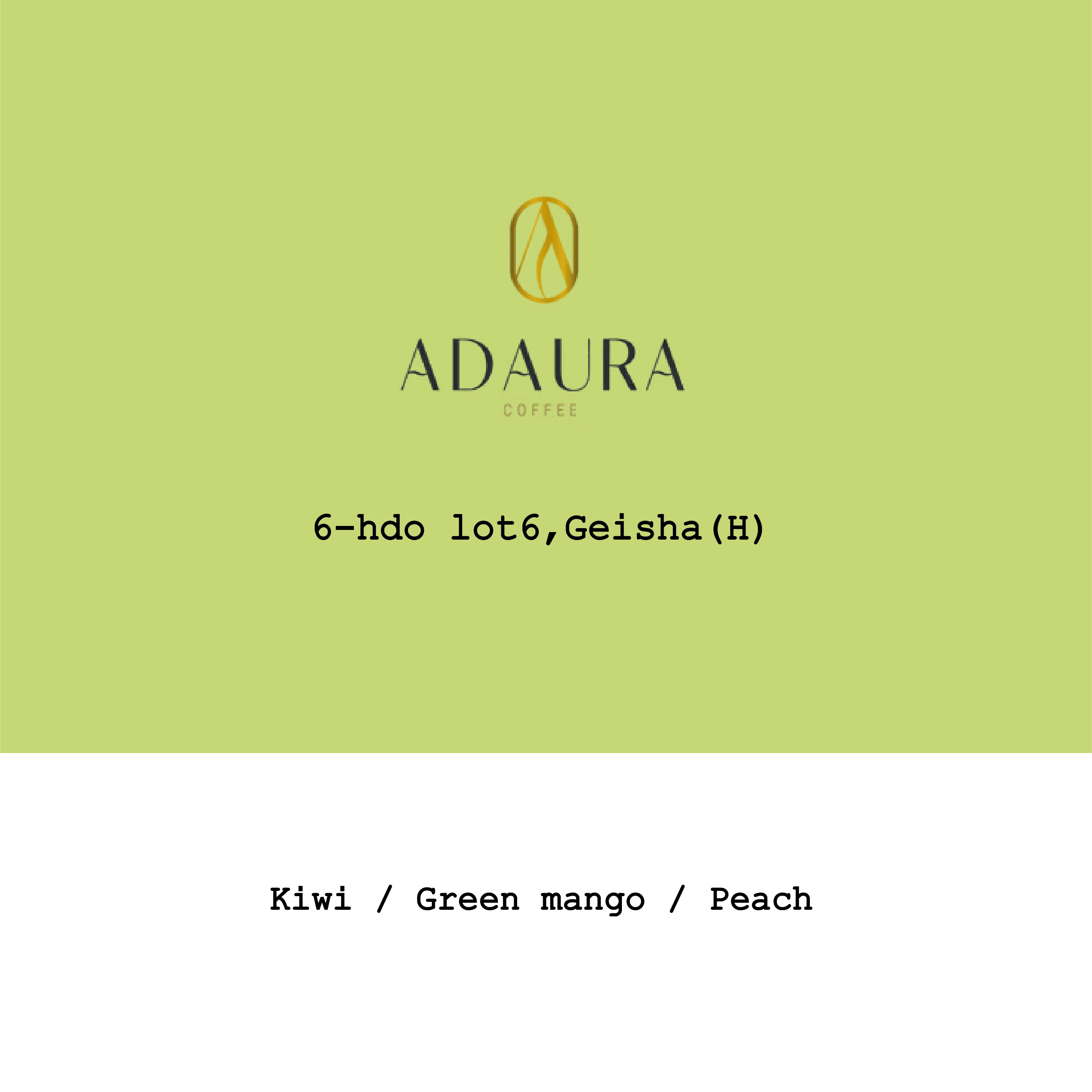 Panama Adaura Finca Lorayne Geisha Honey #6-hdo lot6 from Goût and Co