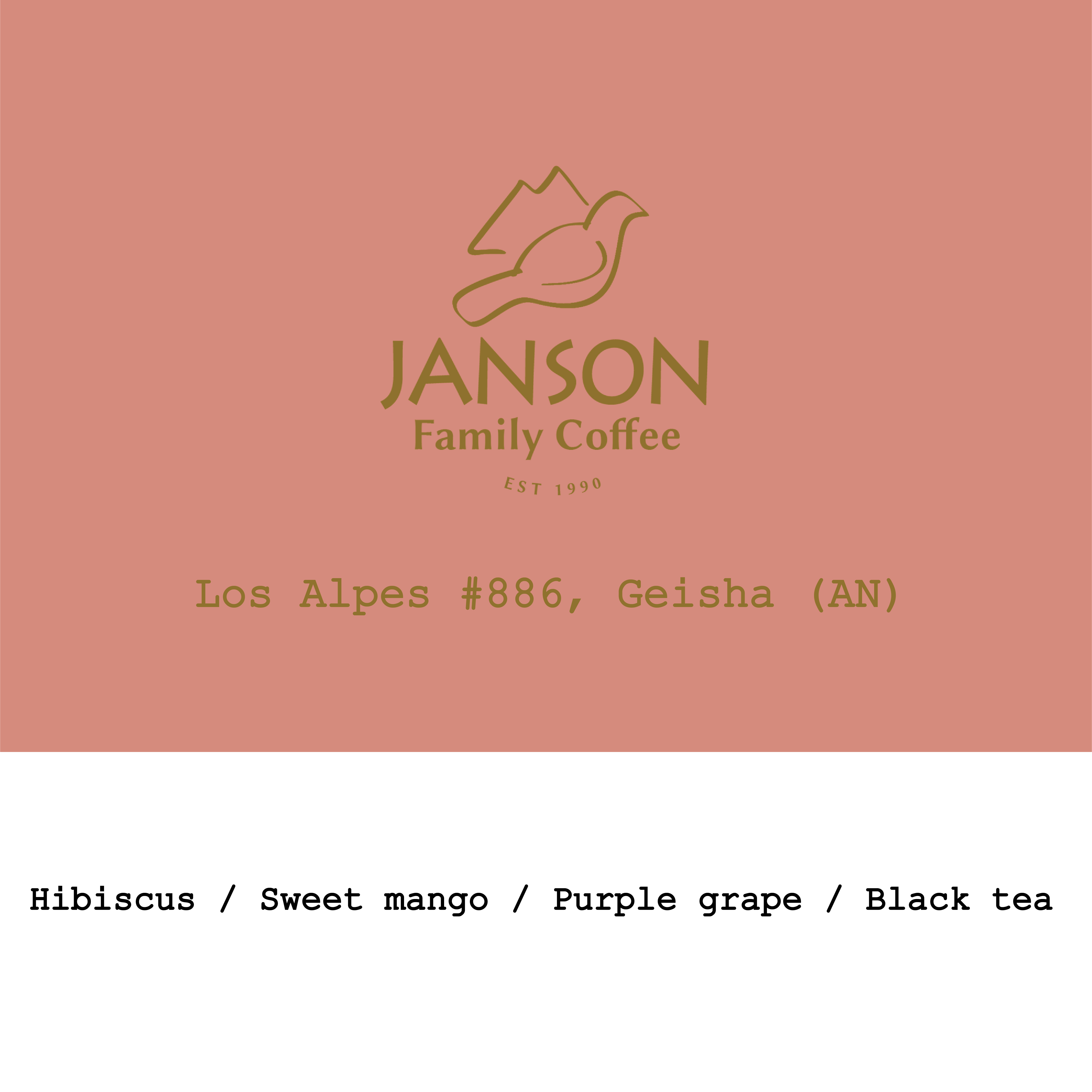 Janson Family Los Alpes Geisha 48h Semi-anaerobic Natural #886 from Goût and Co