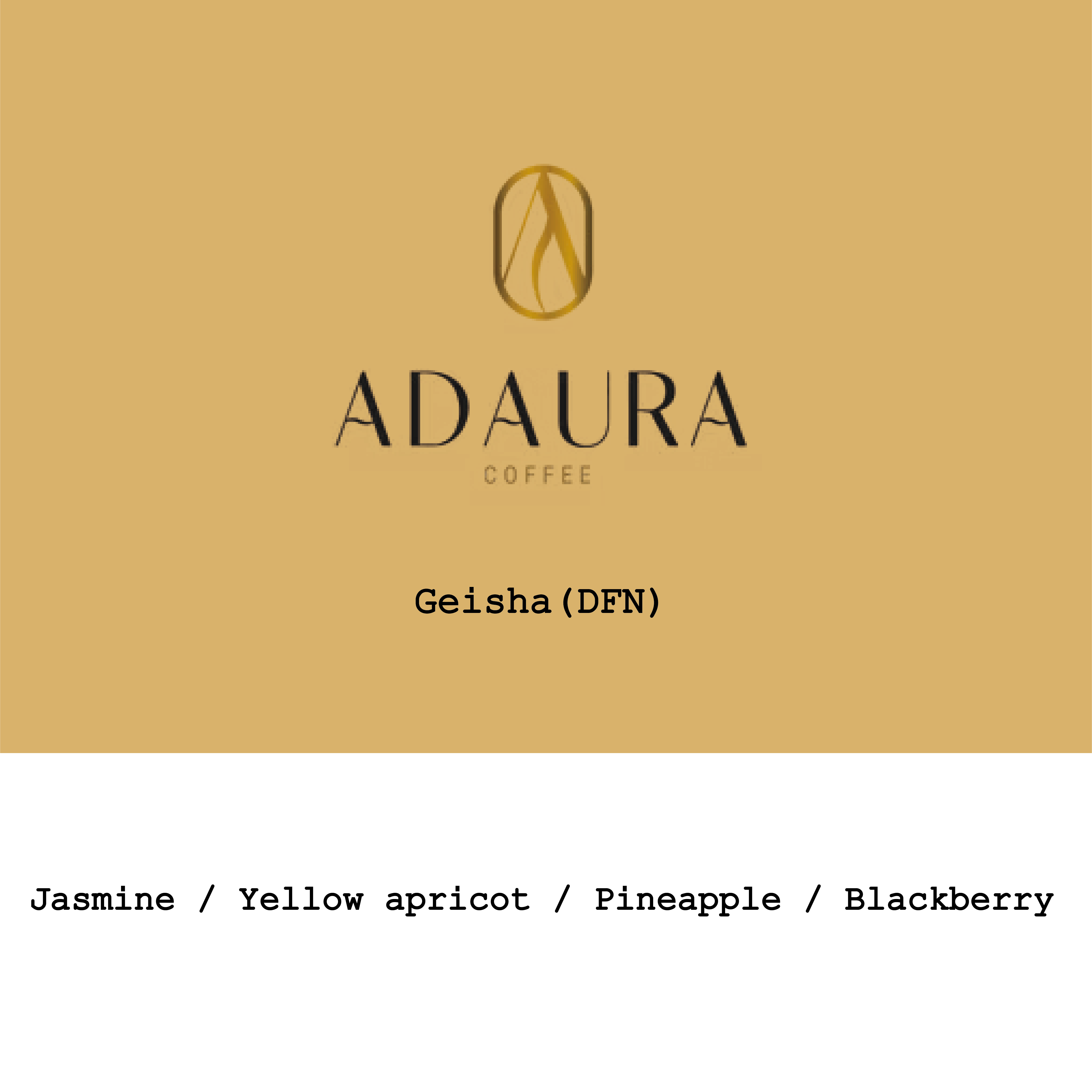 Panama Adaura Finca Lorayne Geisha Dry Fermentation Natural from Goût and Co