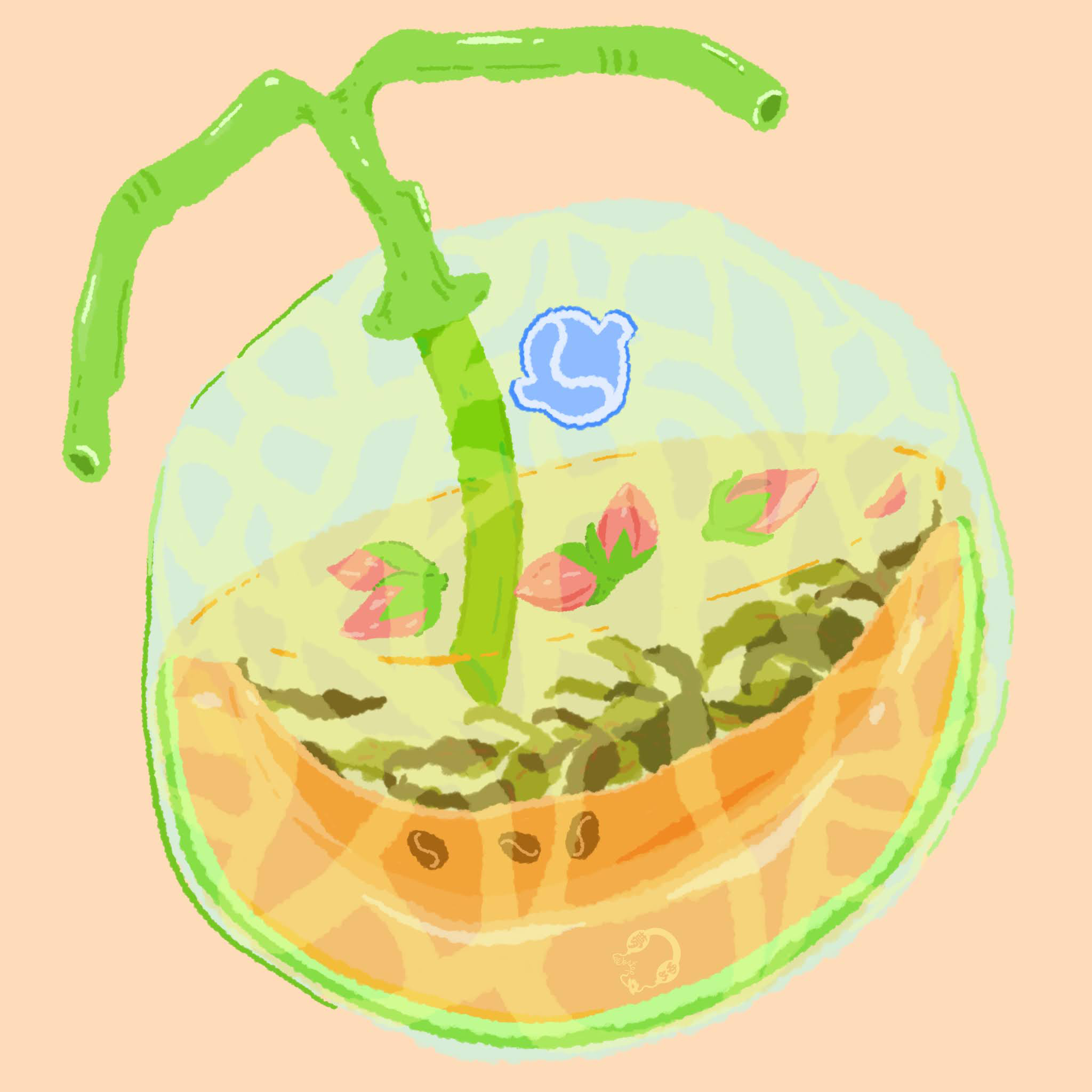 Castillo - Rose Tea - Finca El Paraiso from Hydrangea Coffee Roasters