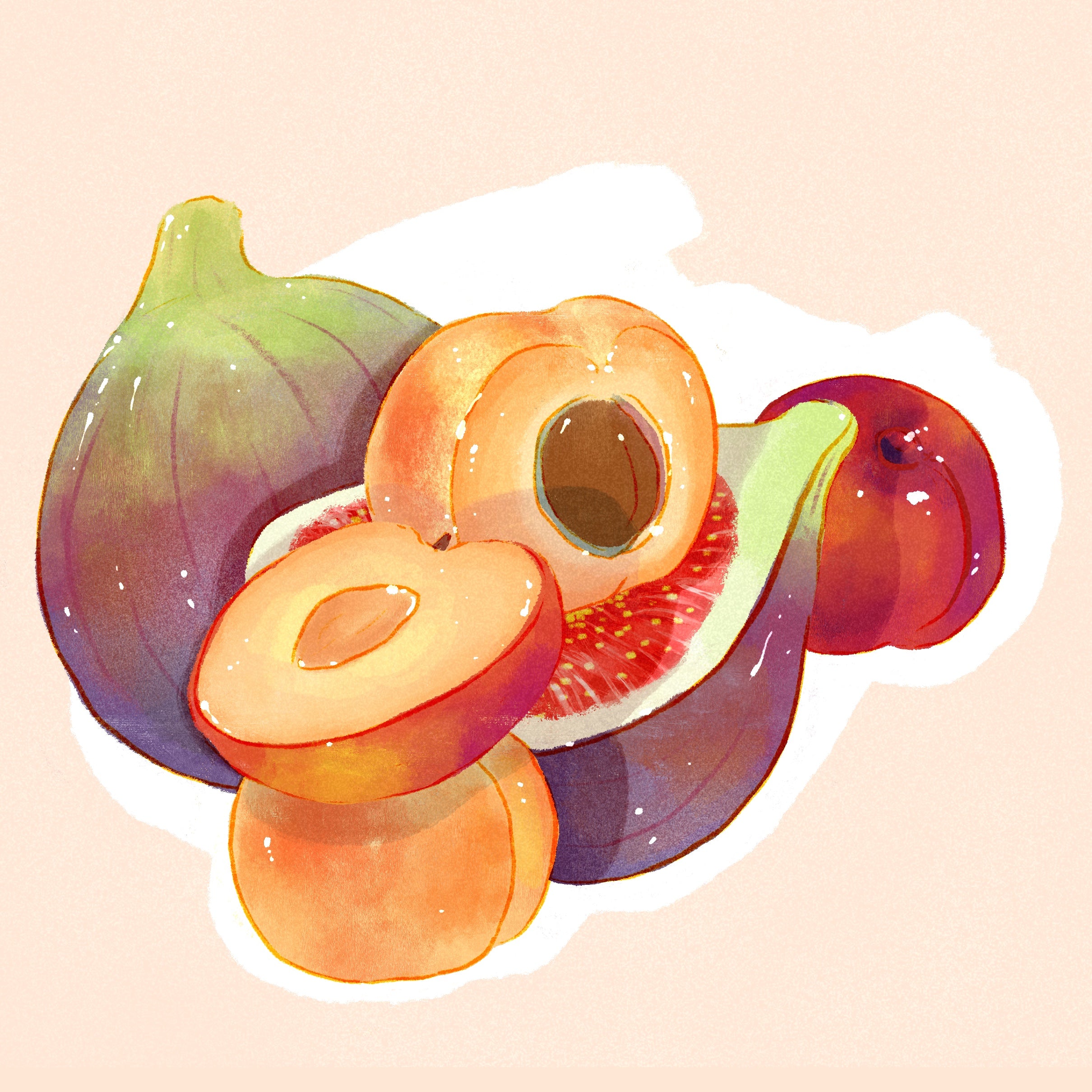 Landrace - Red Honey - Alo Coffee, Bona Zuria Site Outgrowers from Hydrangea Coffee Roasters