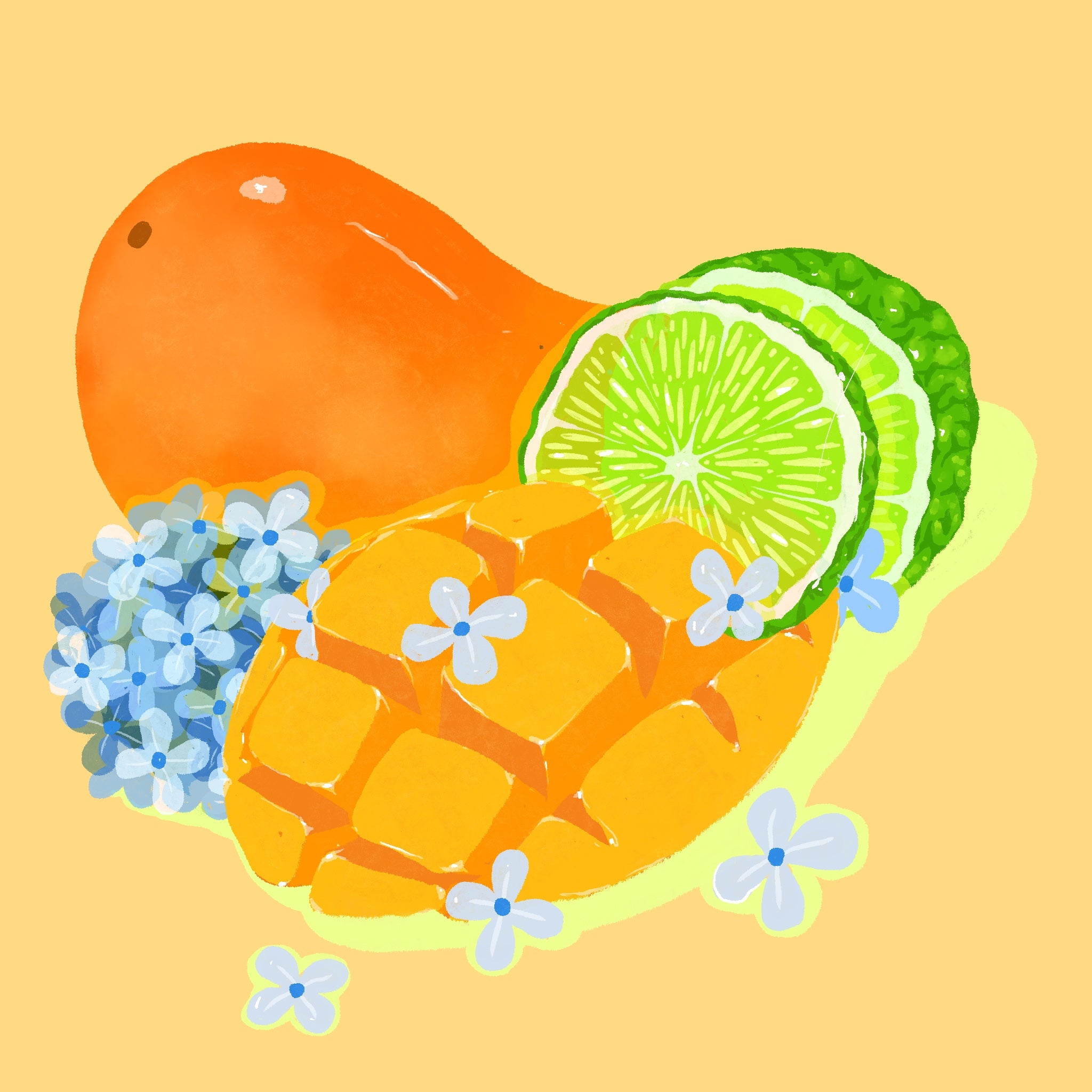 Sudan Rume - Hybrid Washed from Hydrangea Coffee Roasters