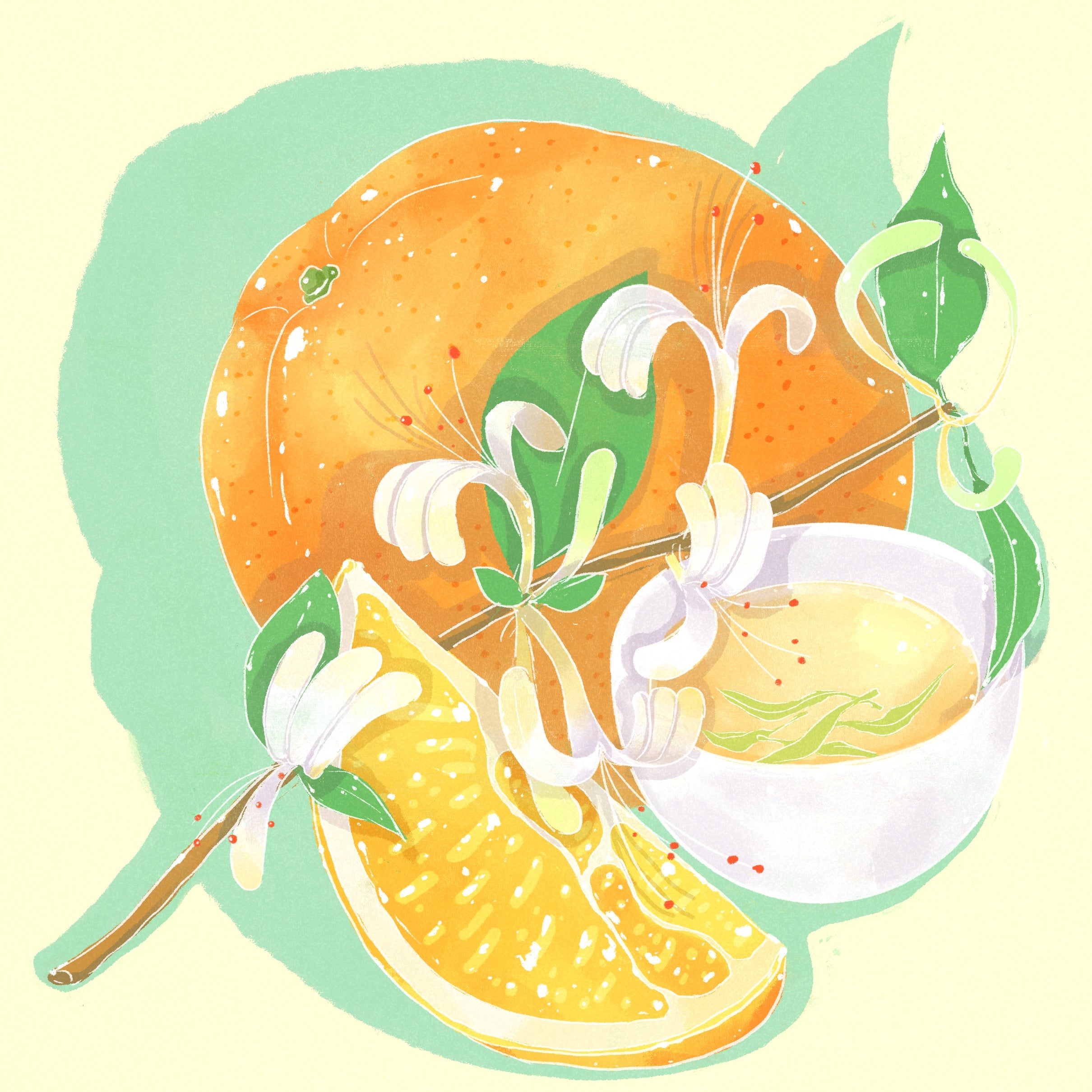 Franceschi Washed Gesha, Lot 232 from Hydrangea Coffee Roasters