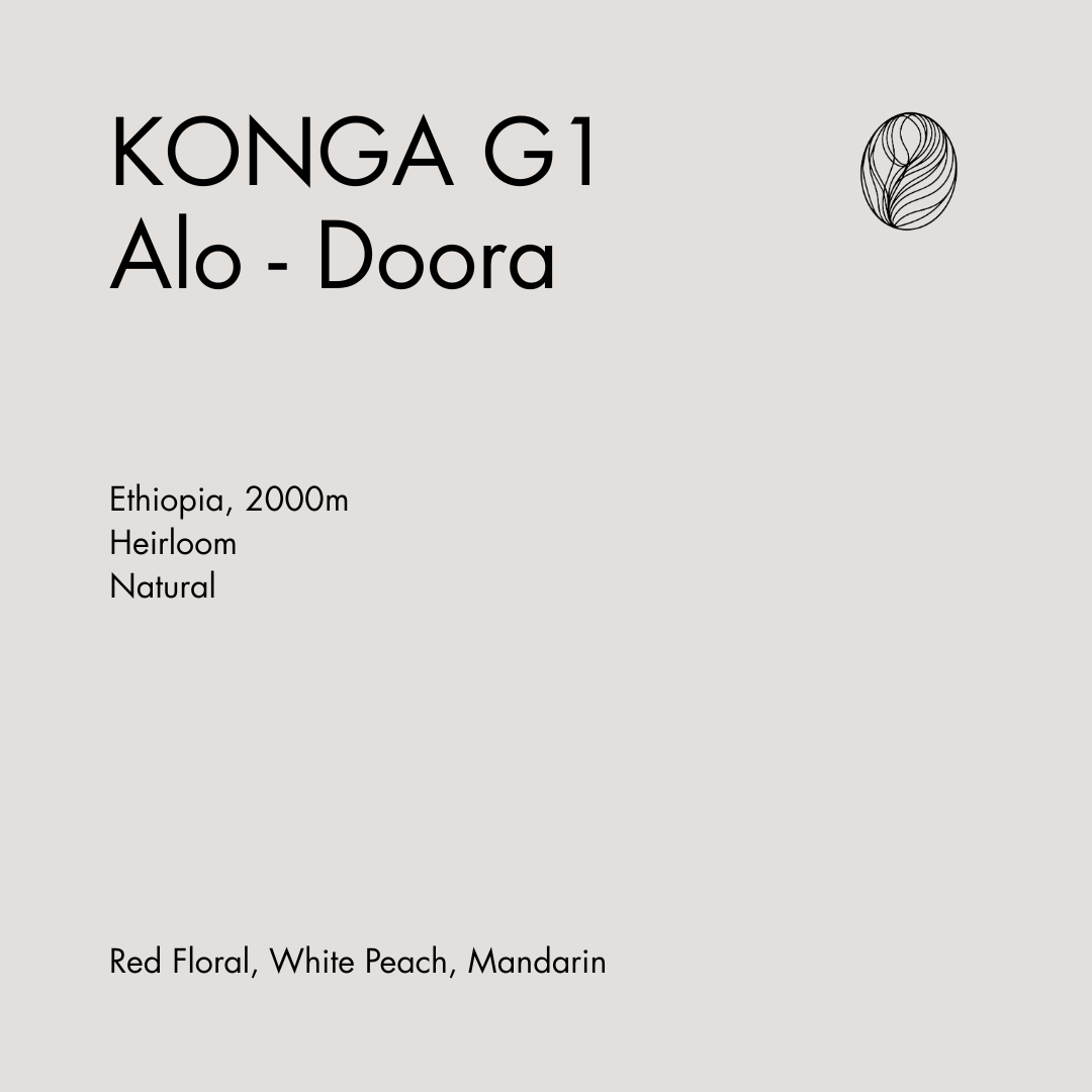 ALO Doora – Konga Natural from KillBean