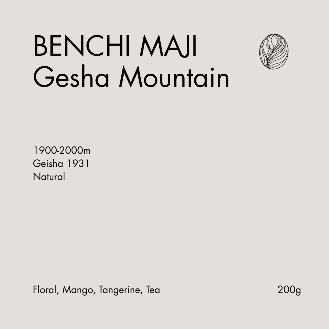 BENCHI MAJI – Gesha 1931 Natural from KillBean