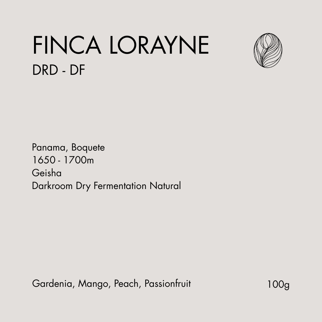 Panama - Finca Lorayne - DRD DF Geisha from KillBean