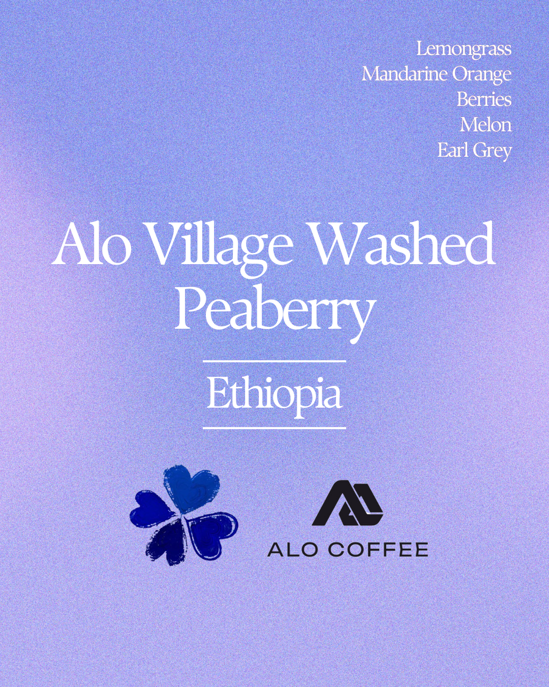 Ethiopia Alo Village Washed Peaberry from Klover Club