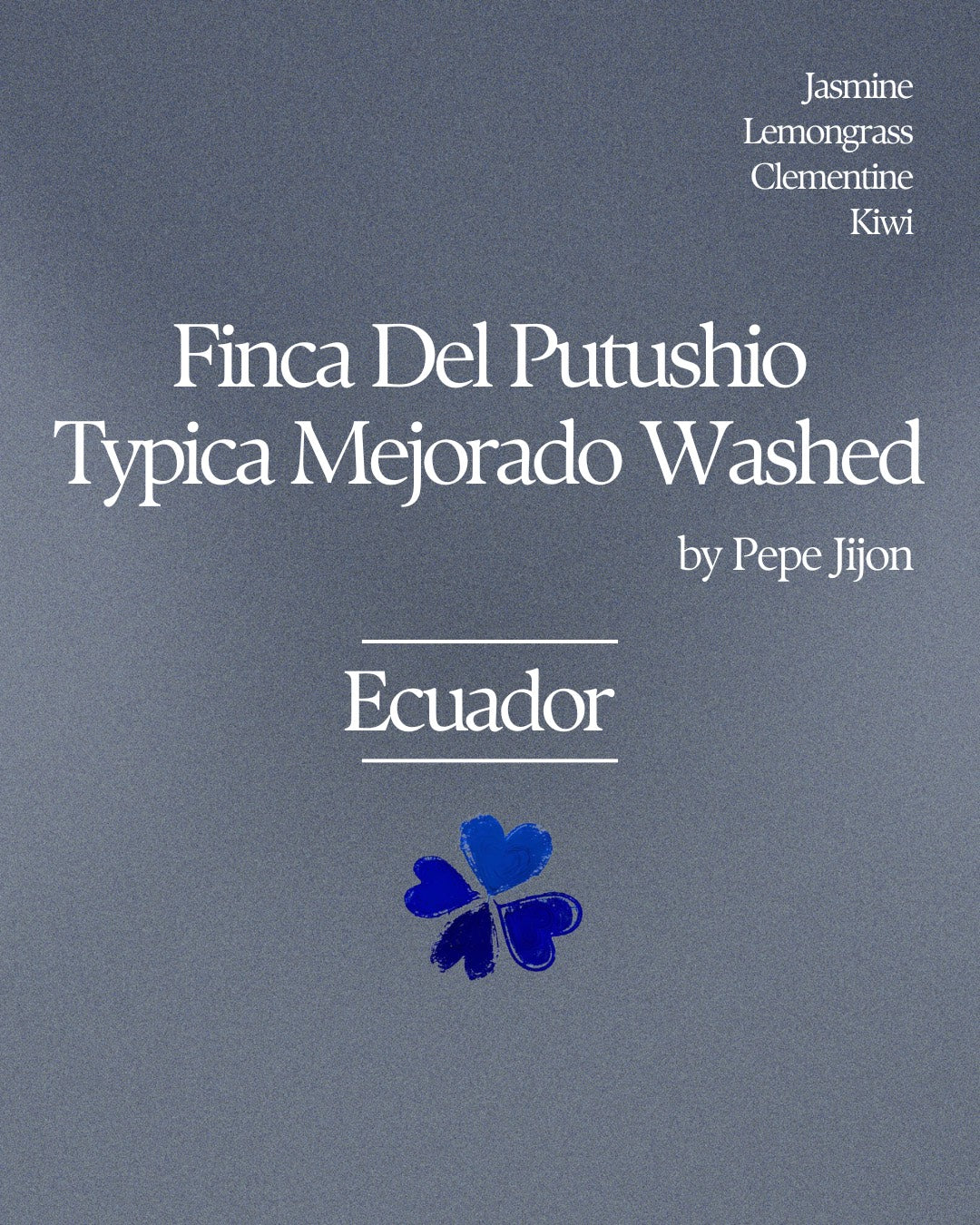 Finca Del Putushio Typica Mejorado Washed by Pepe Jijon from Klover Club